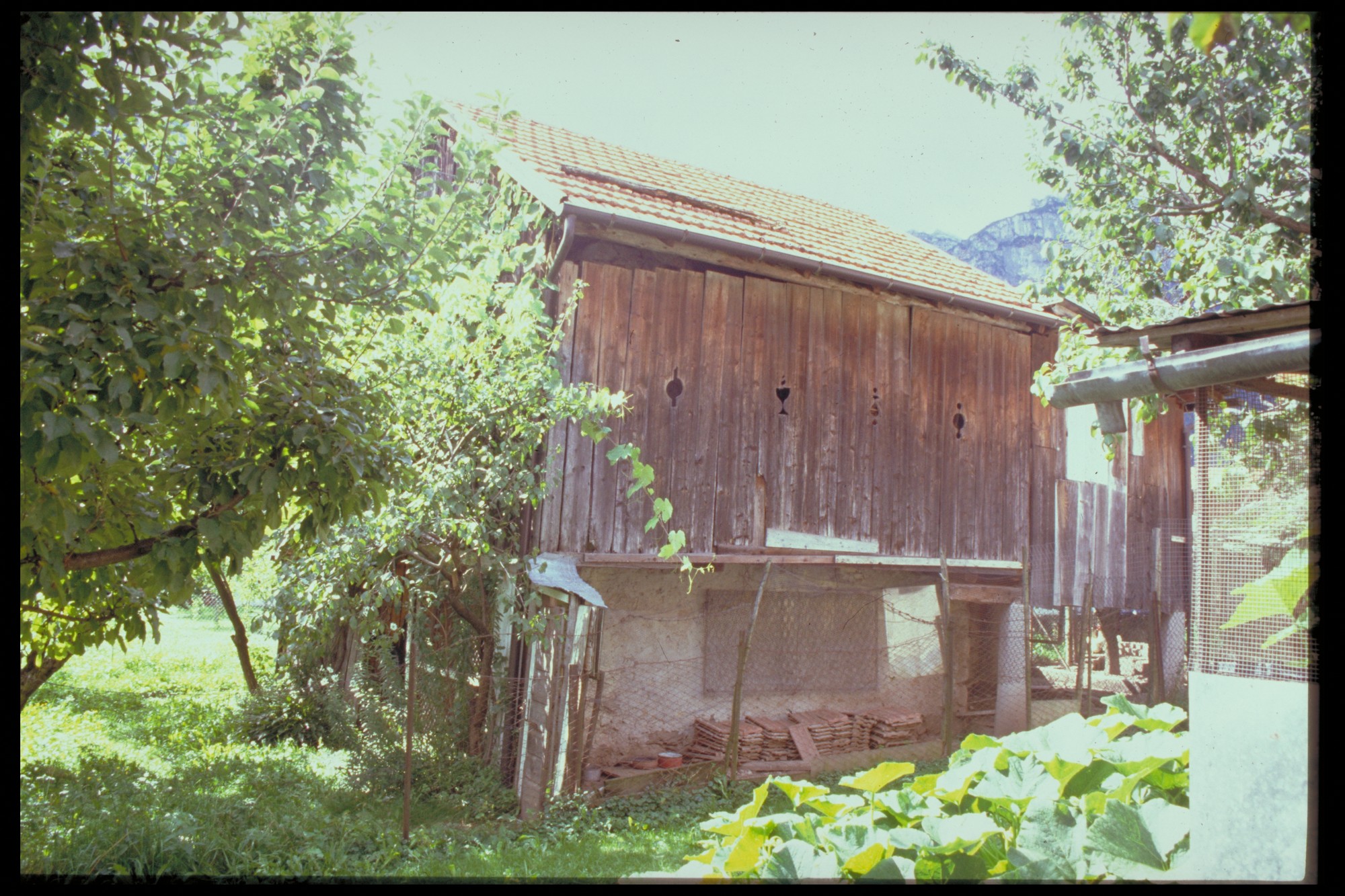 fienile (fienile, rurale) - Agordo (BL) 