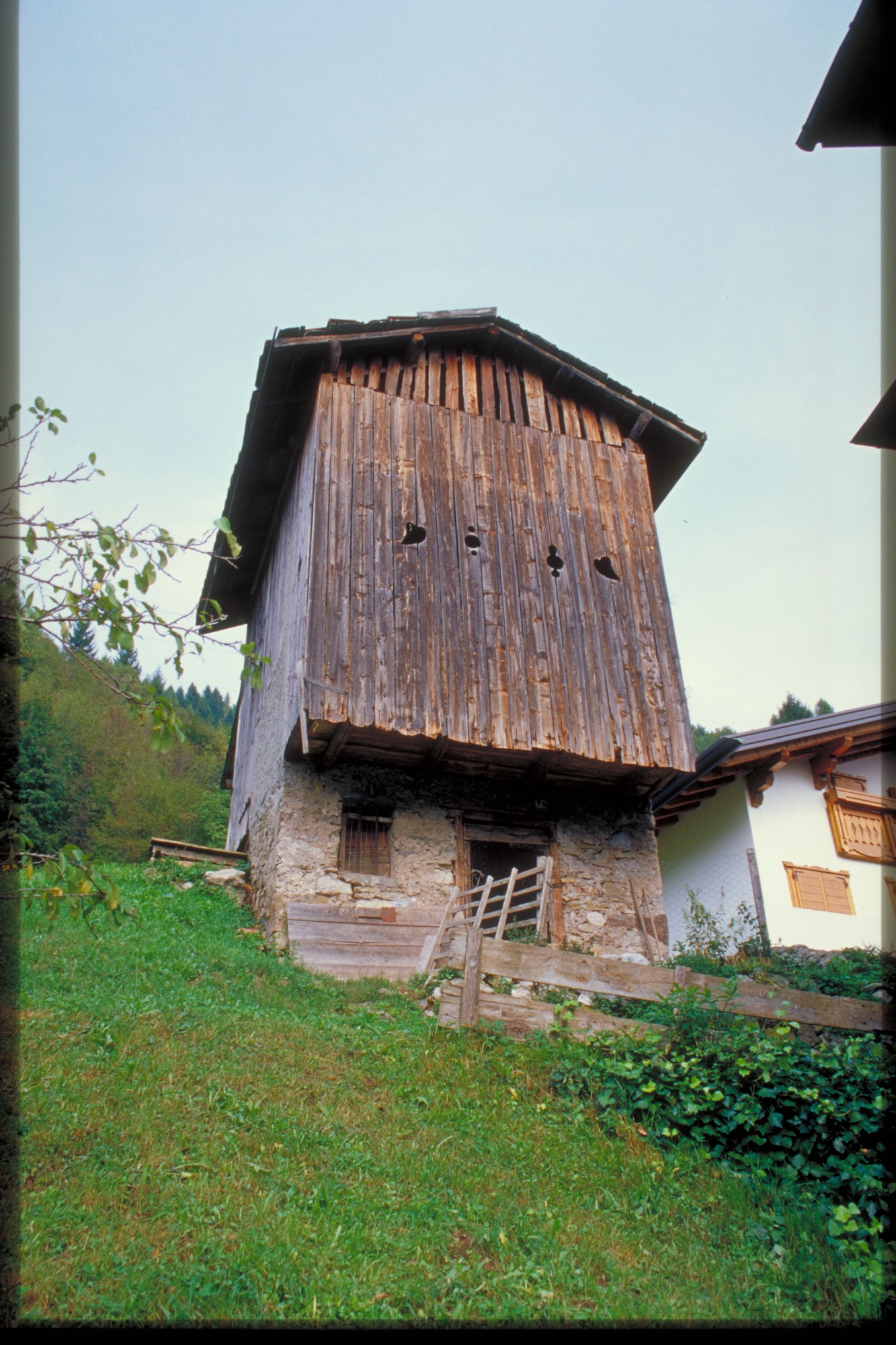 fienile (fienile, rurale) - Agordo (BL) 