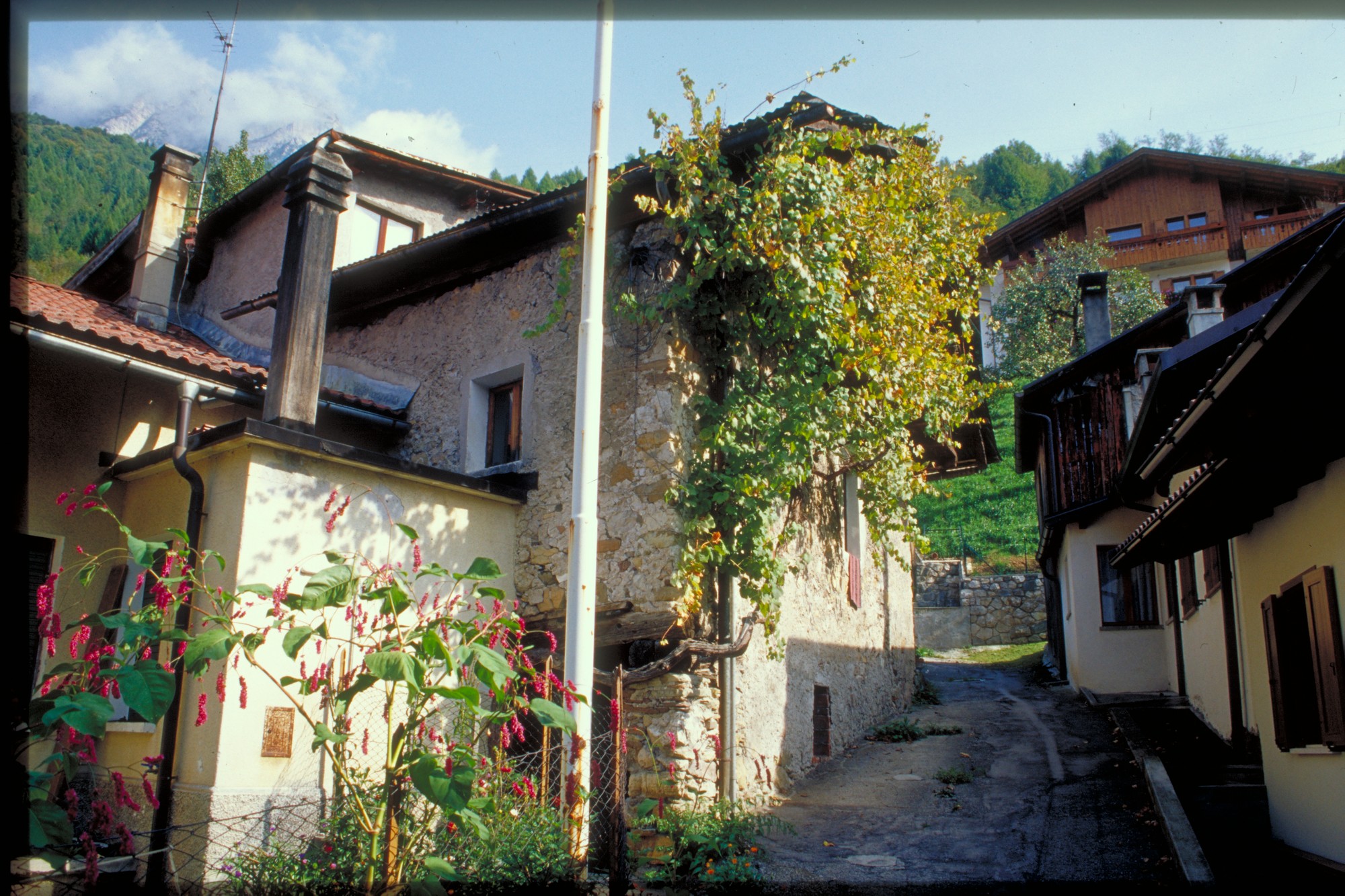 abitazione rurale (abitazione//fienile//stalla, rurale) - Agordo (BL) 