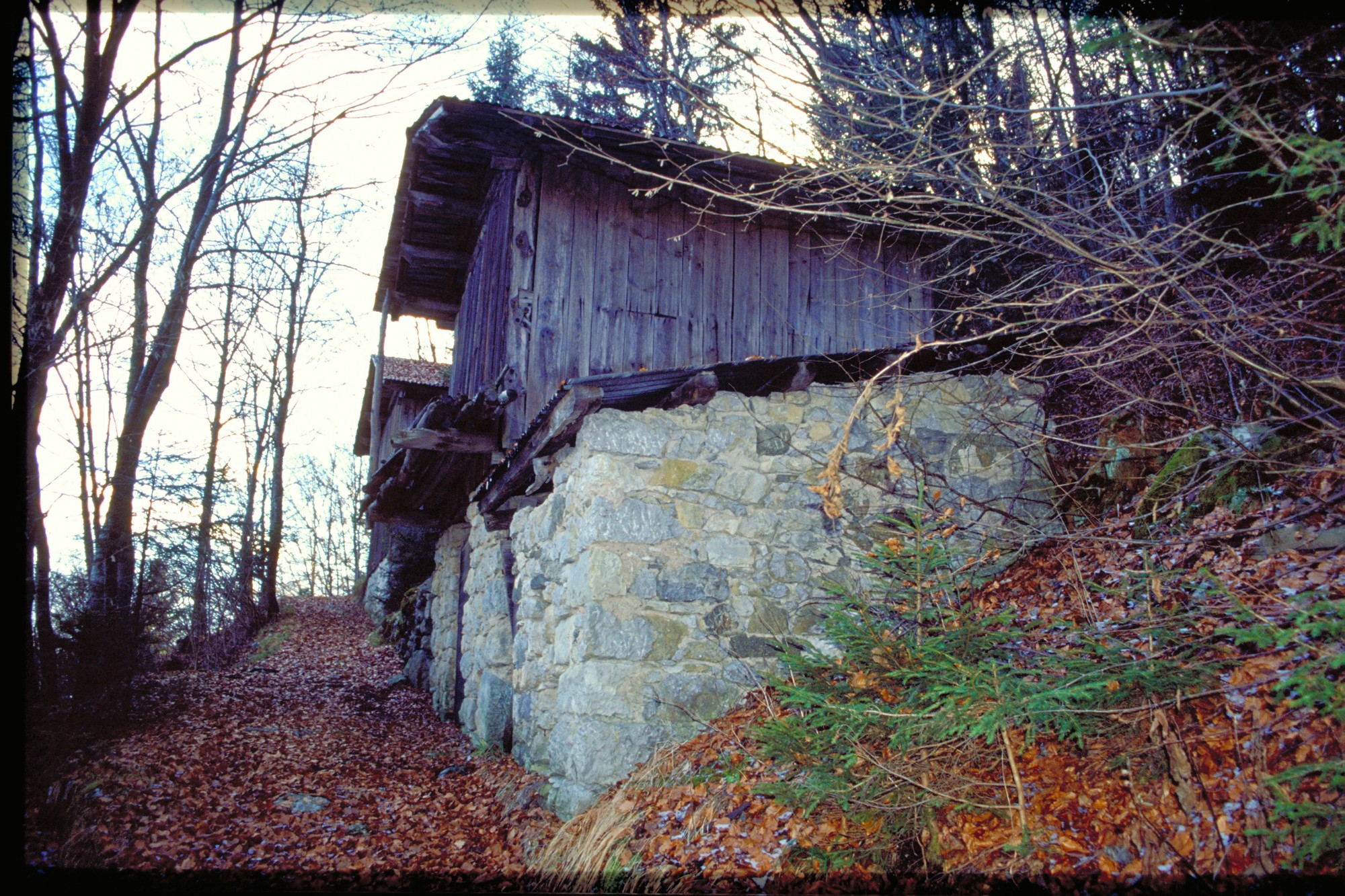 stalla fienile (Fienile//stalla, rurale) - Agordo (BL) 