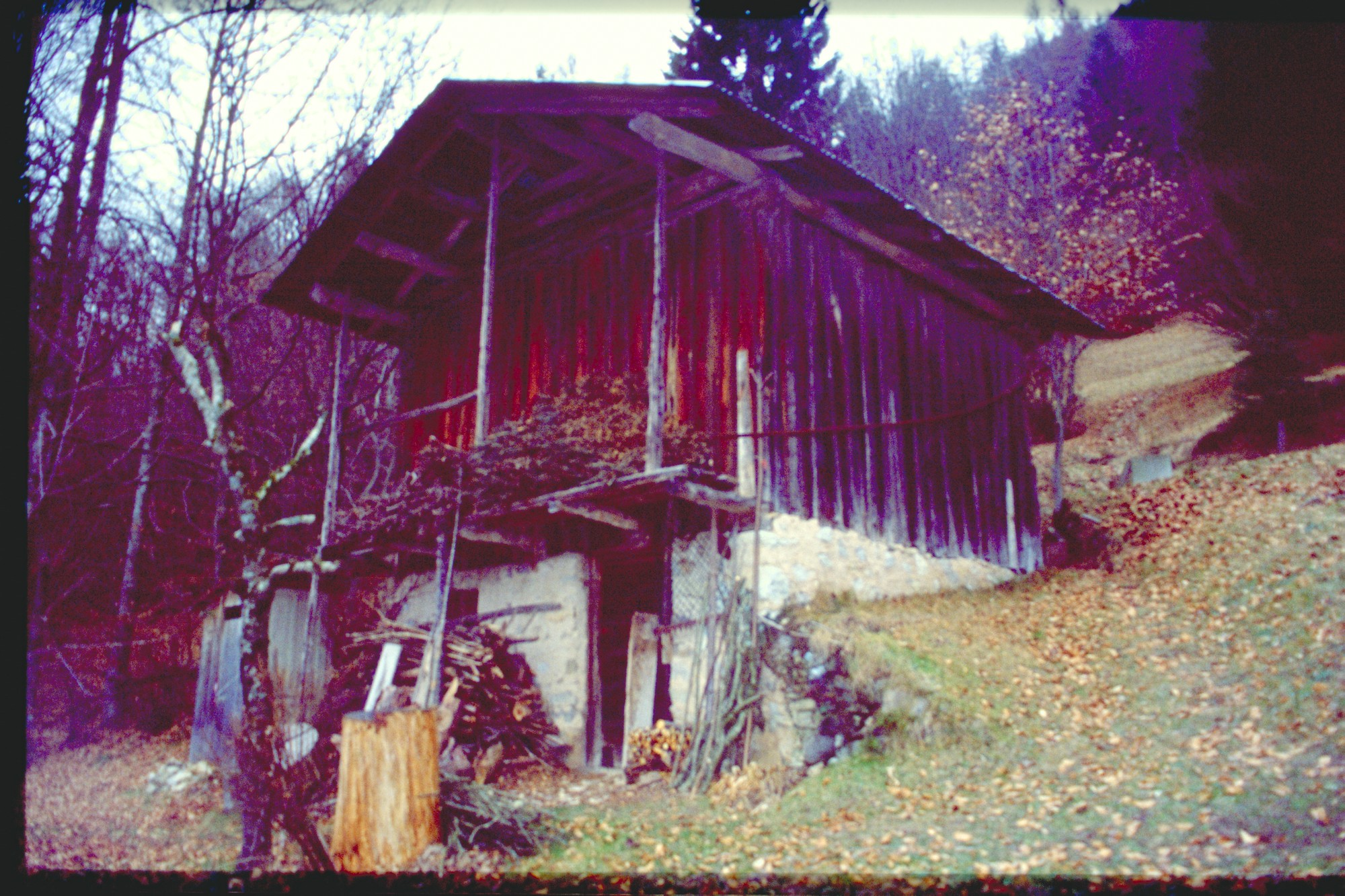 stalla fienile (fienile//stalla, rurale) - Agordo (BL) 