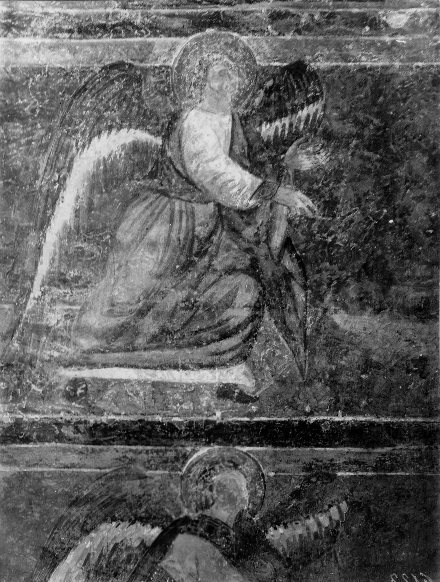 Chiesa Eremitani. Cappella dei Dotti. Gli affreschi duecenteschi liberati dalla calce (negativo) di Gabinetto fotografico (XX)