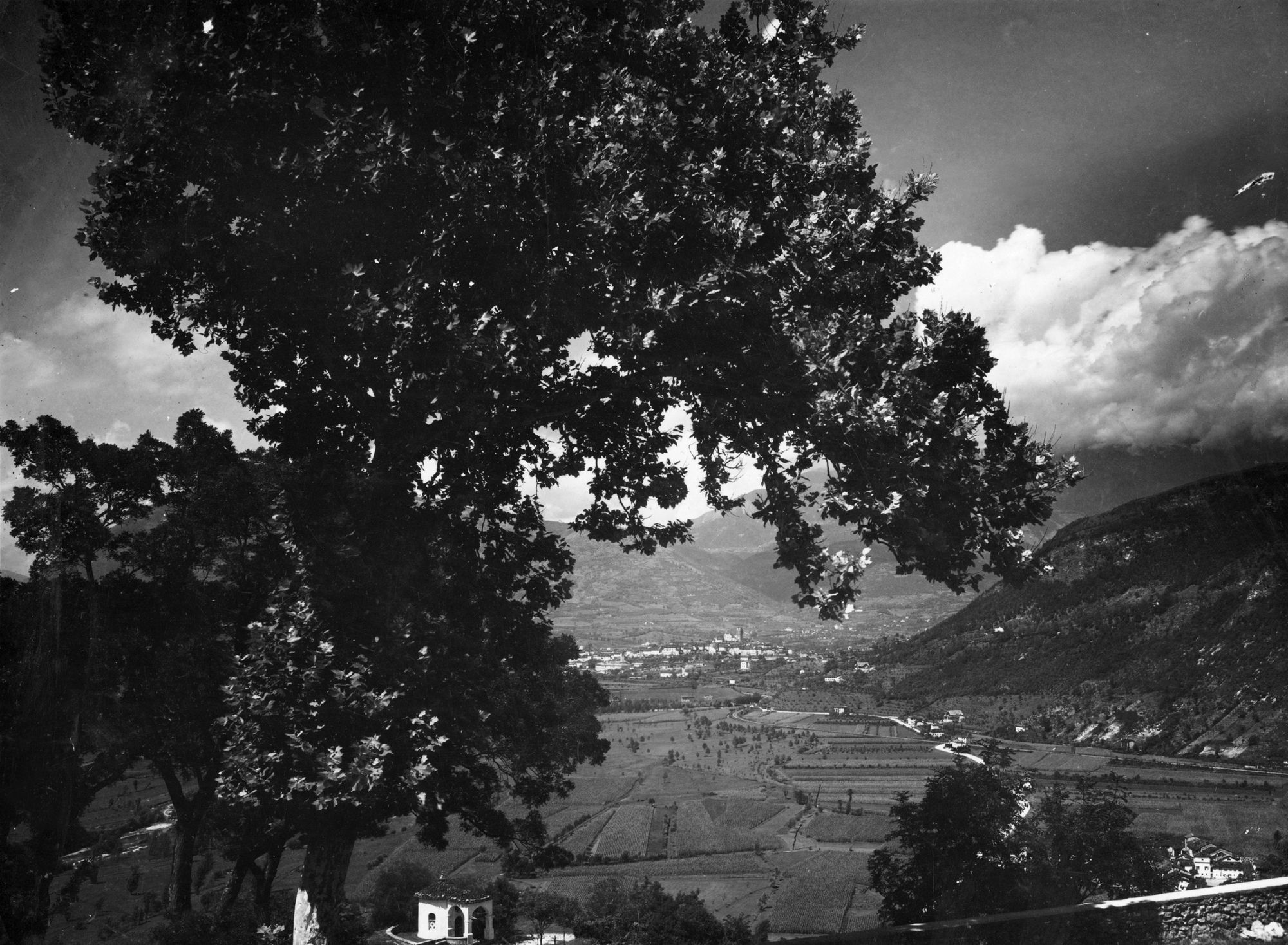 Feltre. Feltre visto dal convento dei SS. Vittore e Corona (negativo) di Gabinetto fotografico (XX)