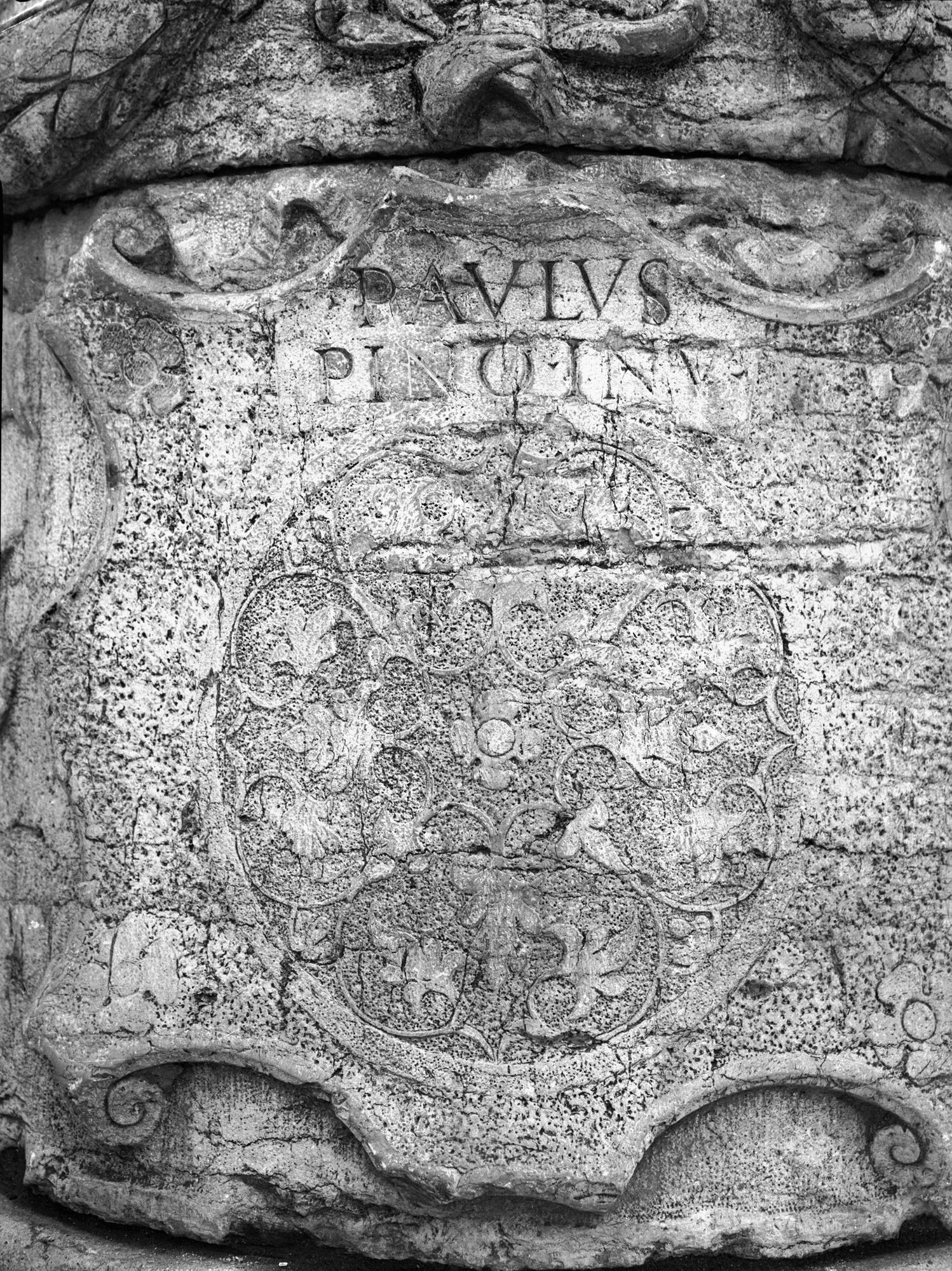 Cappelletta di Noale. Il filo, particolare (negativo) di Gabinetto fotografico (XX)