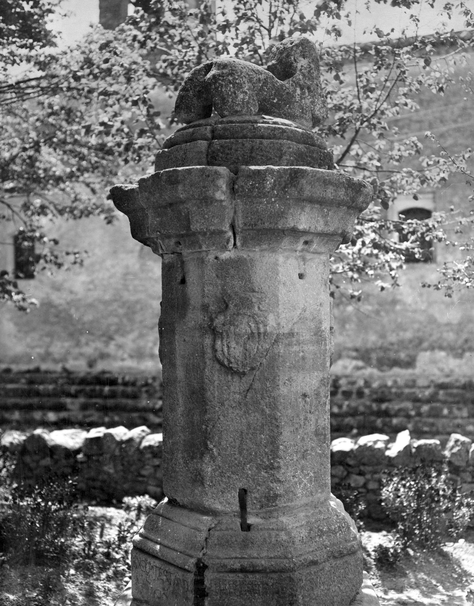 Arquà Petrarca. Pilo con frammento del Leone di San Marco (negativo) di Gabinetto fotografico (XX)