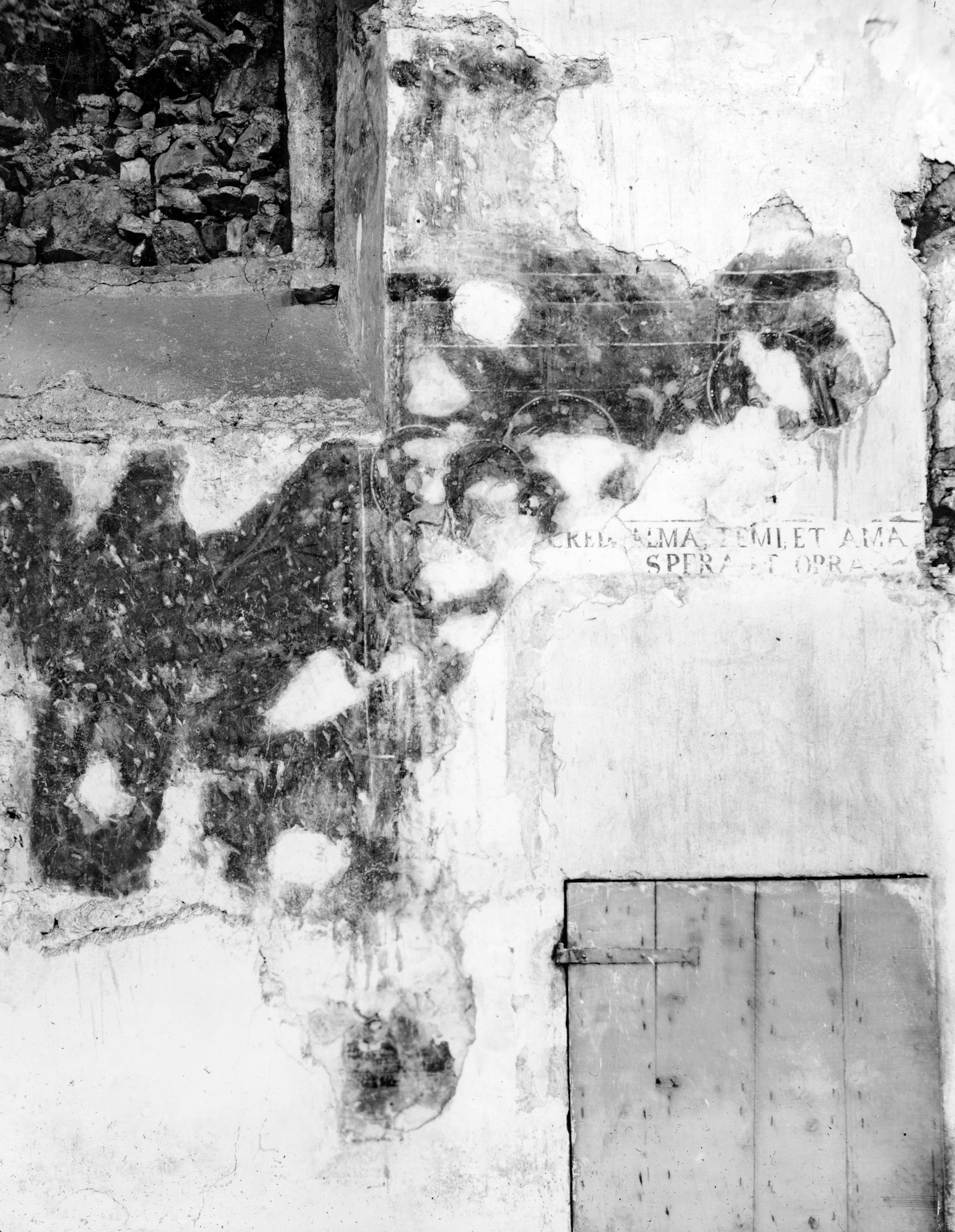 Arquà Petrarca. Chiesa. Particolari di affreschi del sec. XIV (negativo) di Gabinetto fotografico (XX)