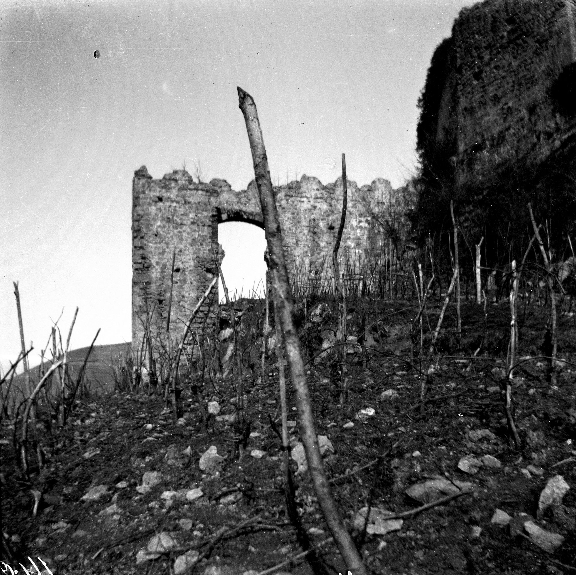 Monselice. Varie vedute della rocca di Monselice (negativo) di Gabinetto fotografico (XX)