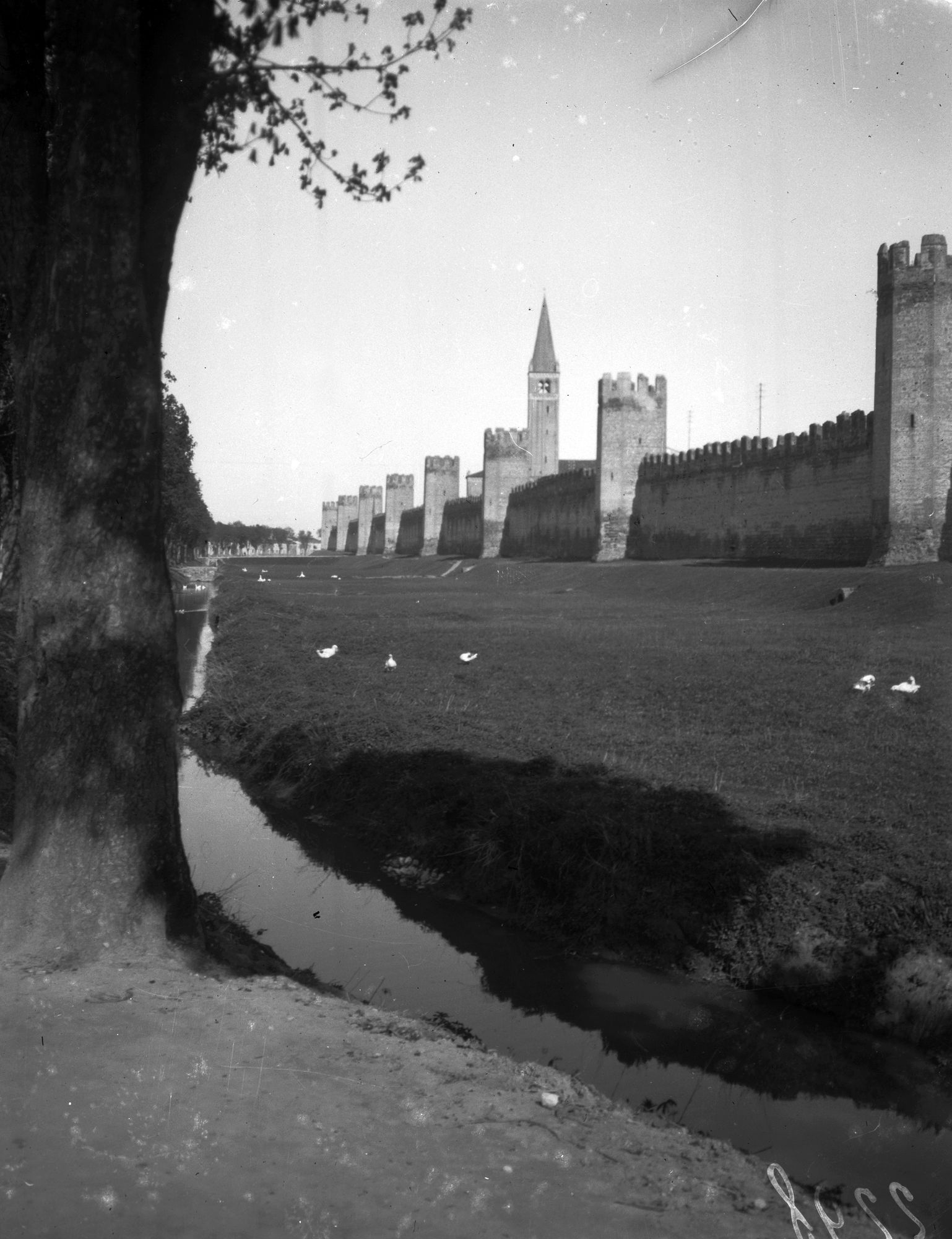 Montagnana. Varie vedute delle mura (negativo) di Sopraintend. Ongaro (XX)