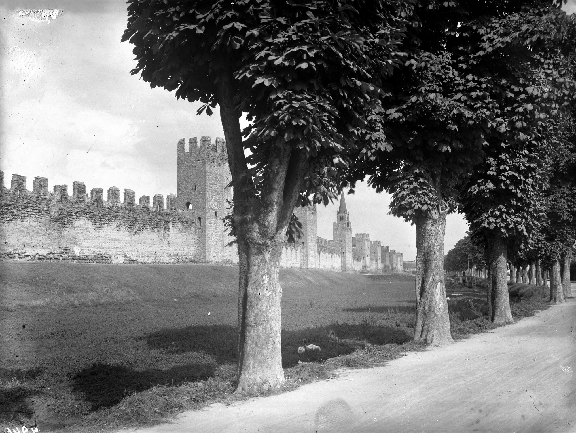 Montagnana. Vari aspetti delle mura e di porta Legnano (negativo) di Gabinetto fotografico (XX)