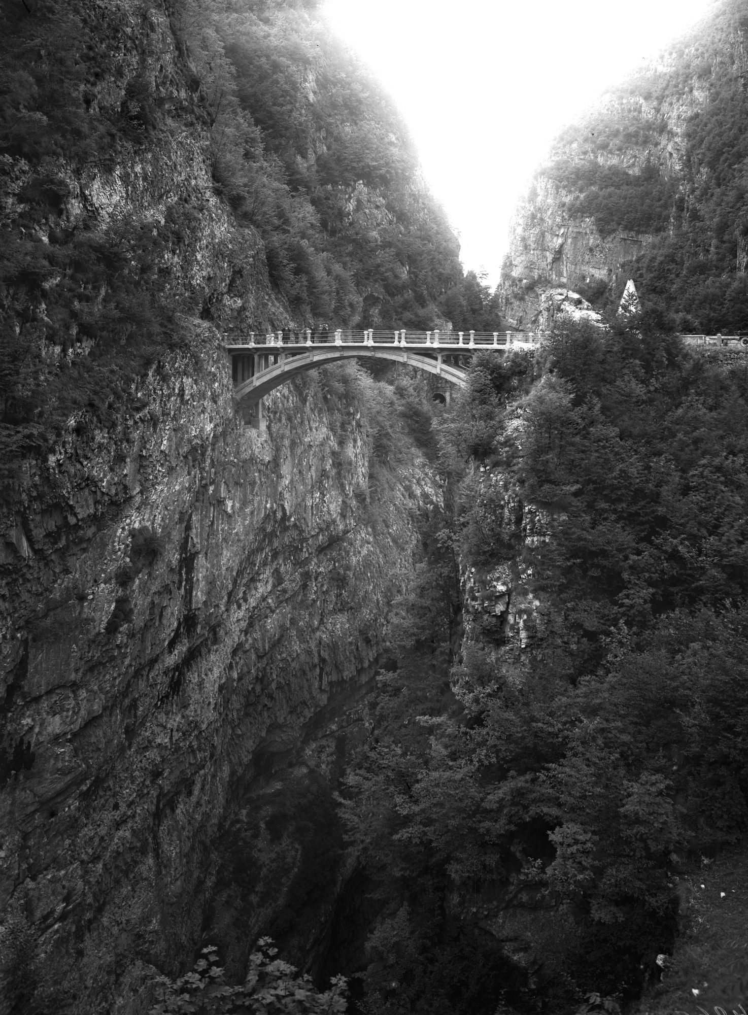 Longarone. Nel Vaiont sulla sinistra del piave. Vari aspetti della Val Vaiont (negativo) di Gabinetto fotografico (XX)