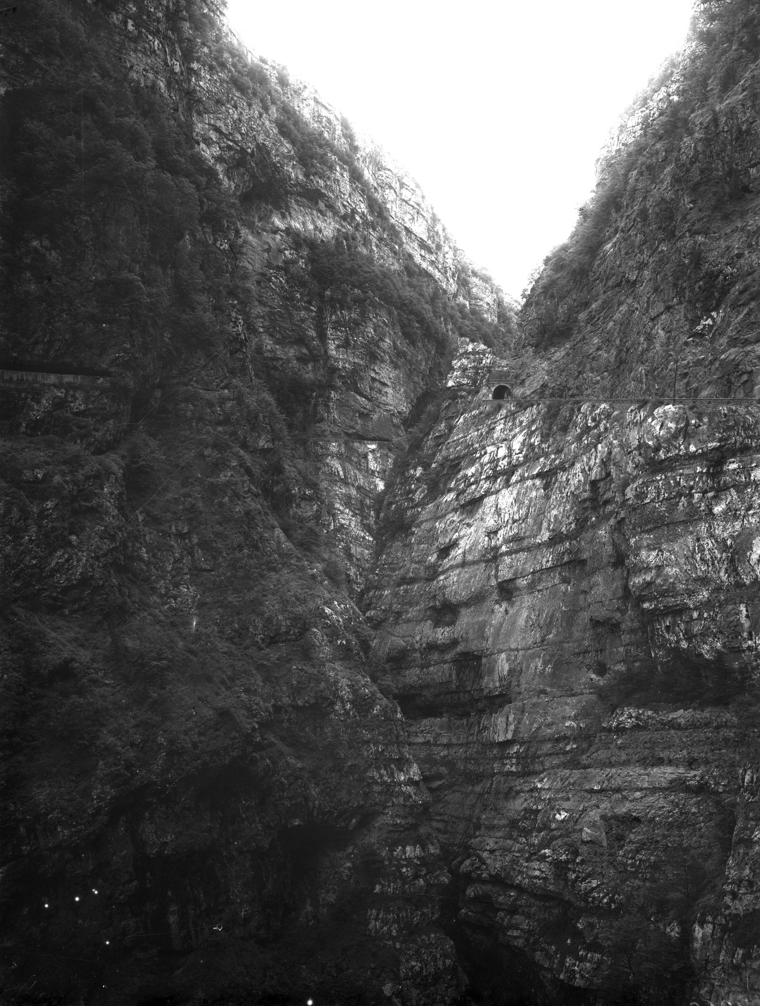 Longarone. Nel Vaiont sulla sinistra del piave. Vari aspetti della Val Vaiont (negativo) di Gabinetto fotografico (XX)