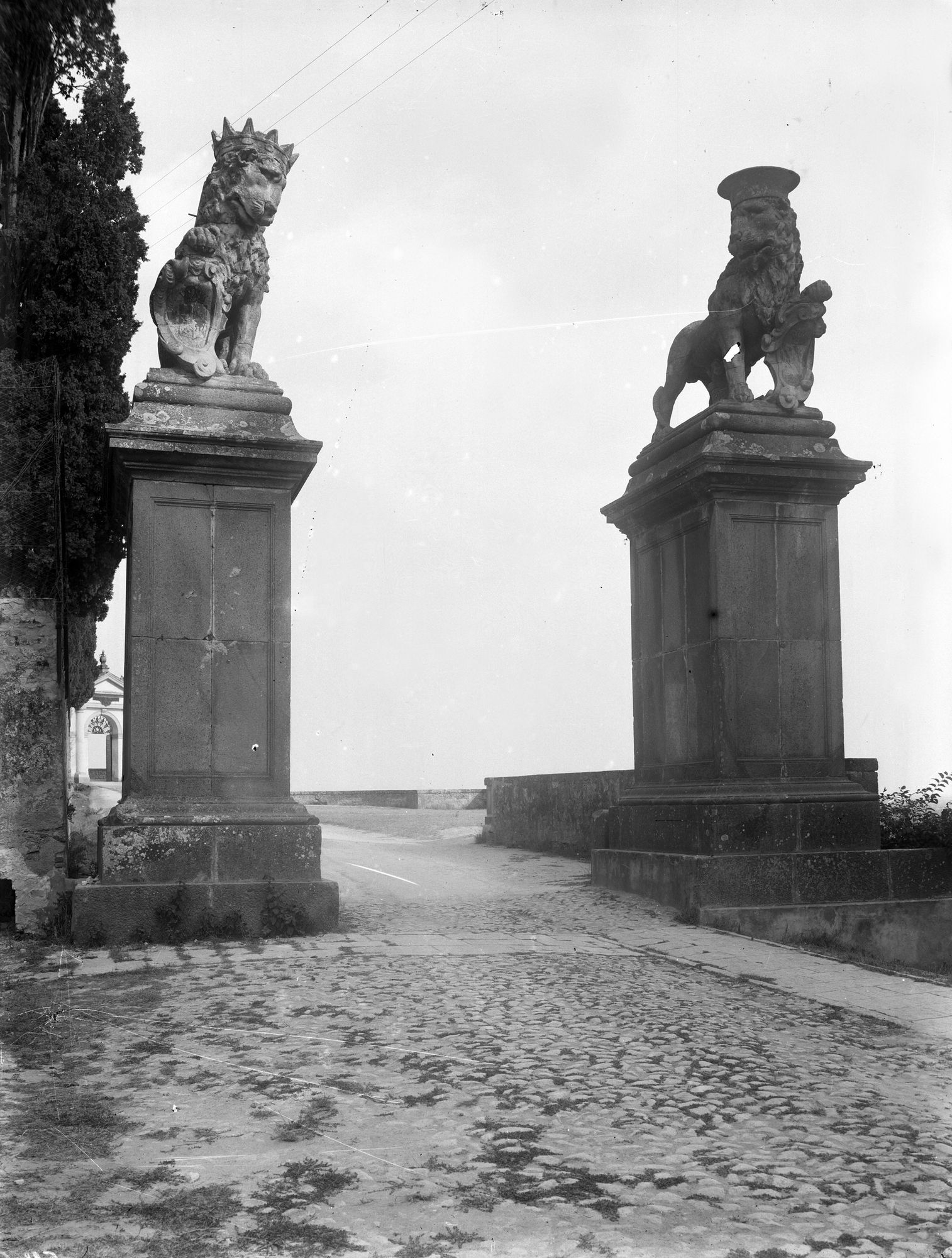 Monselice. Pilastri coi leoni alla sinistra del Duomo (negativo) di Gabinetto fotografico (XX)