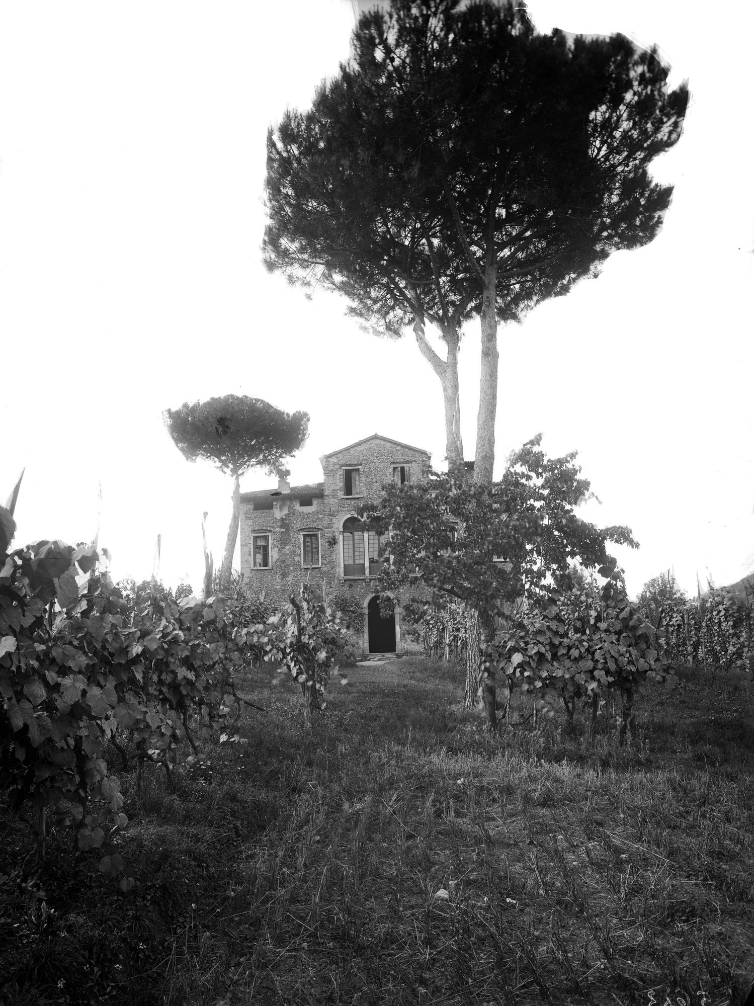 Asolo. Aspetti della villa Pignera del Co. Raselli (negativo) di Gabinetto fotografico (XX)