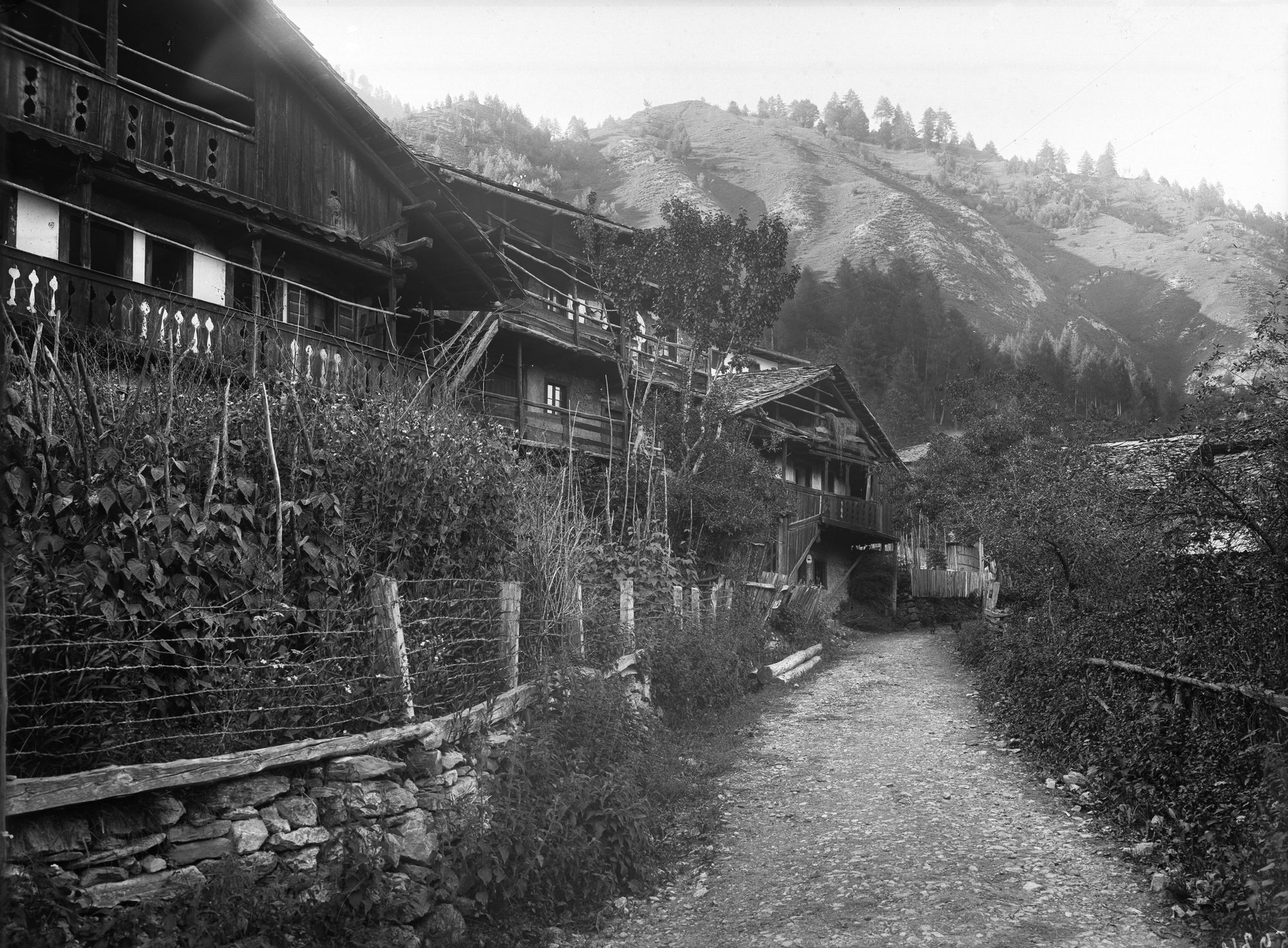 Deppo. Paesaggio (negativo) di Gabinetto fotografico (XX)