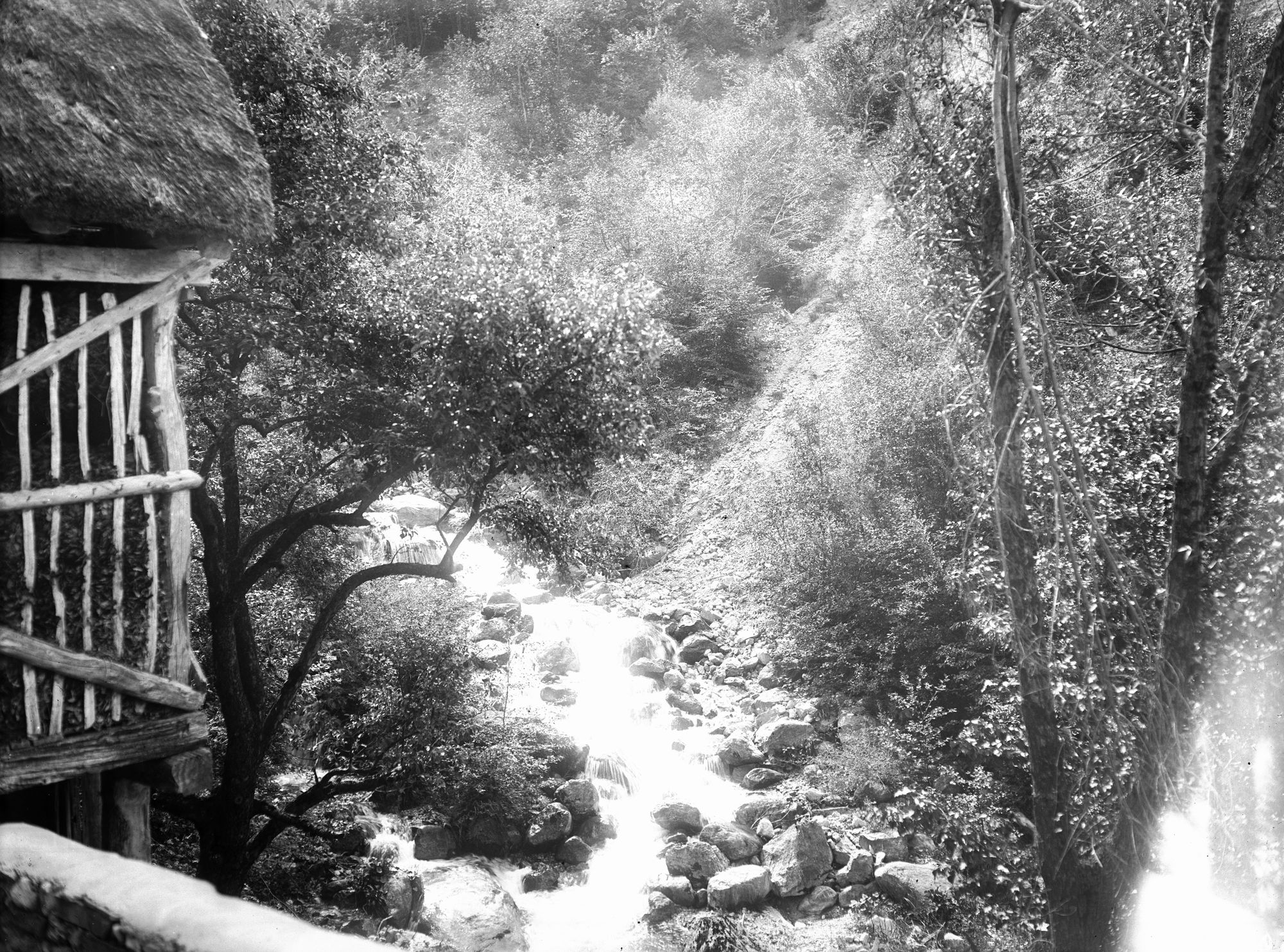 Lavina. Il torrente Bossoia (negativo) di Gabinetto fotografico (XX)