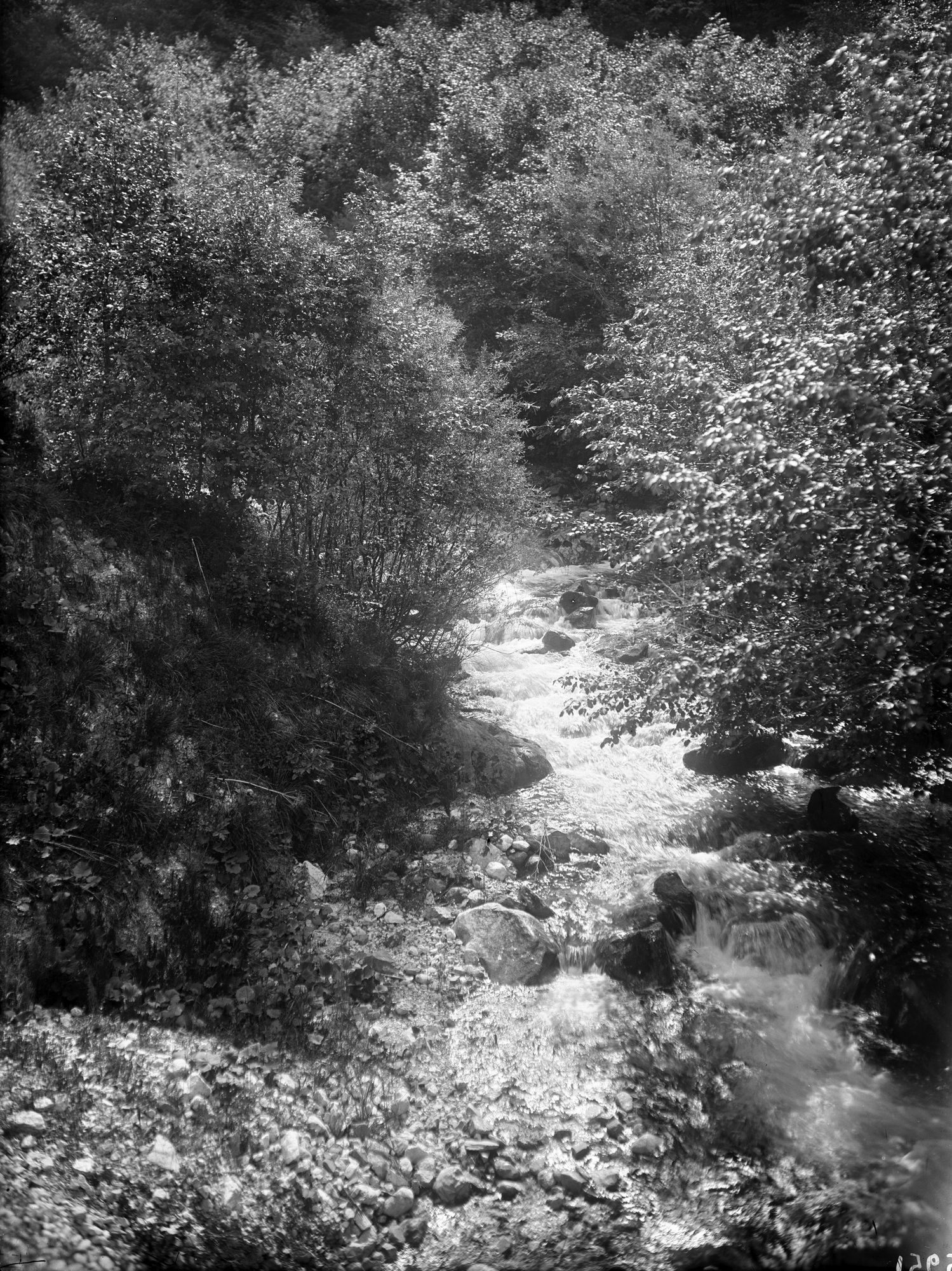 Lavina. Il torrente Bossoia (negativo) di Gabinetto fotografico (XX)