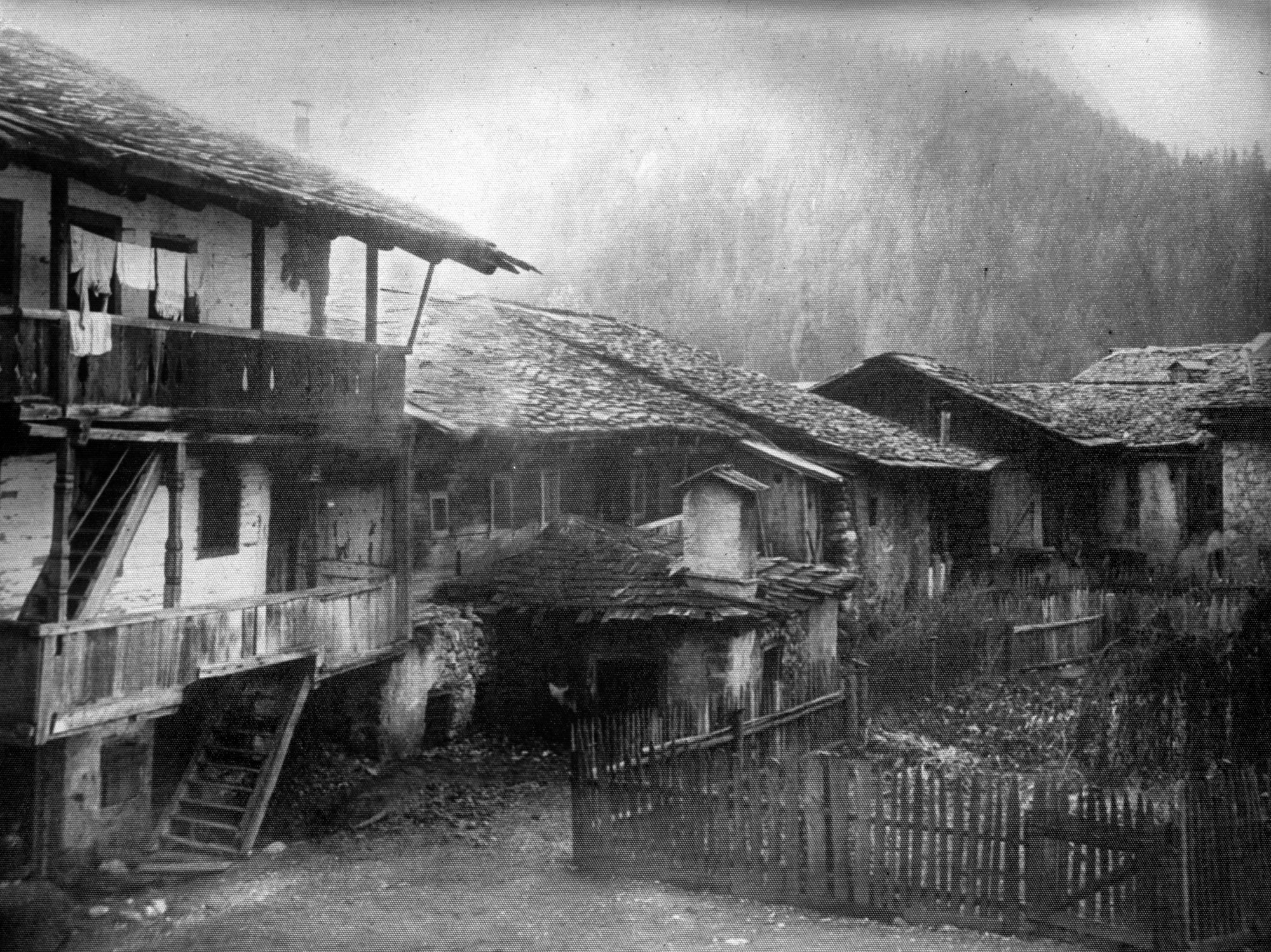 Campolongo. Case vecchie di San Stefano di Cadore in via Ambrosiana (negativo) di Gabinetto fotografico (XX)
