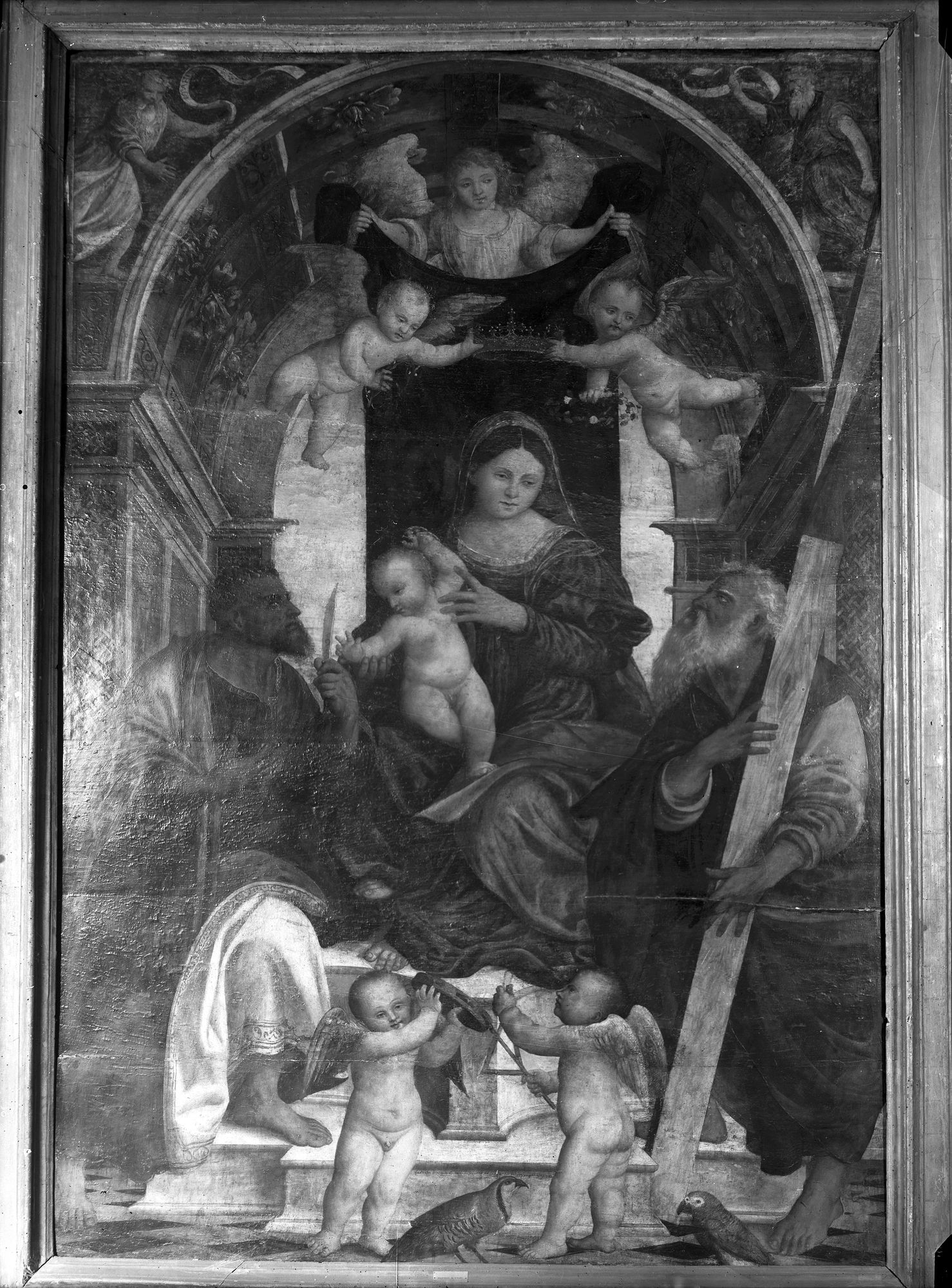 Museo Civico. Madonna in trono e Santi. Pala d'altare (negativo) di Gabinetto fotografico (XX)