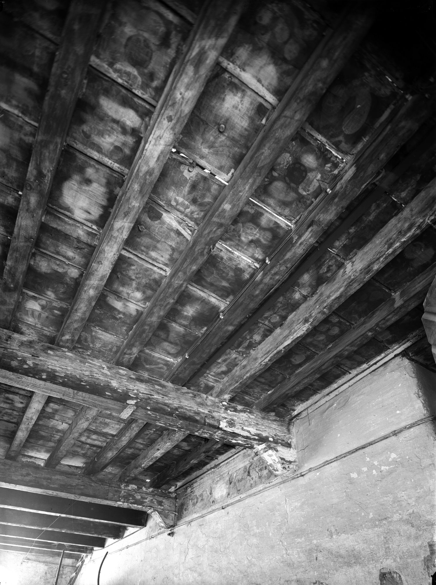 Palazzo Tron ora Carità. Soffitti dell'androne (negativo) di Gabinetto fotografico (XX)