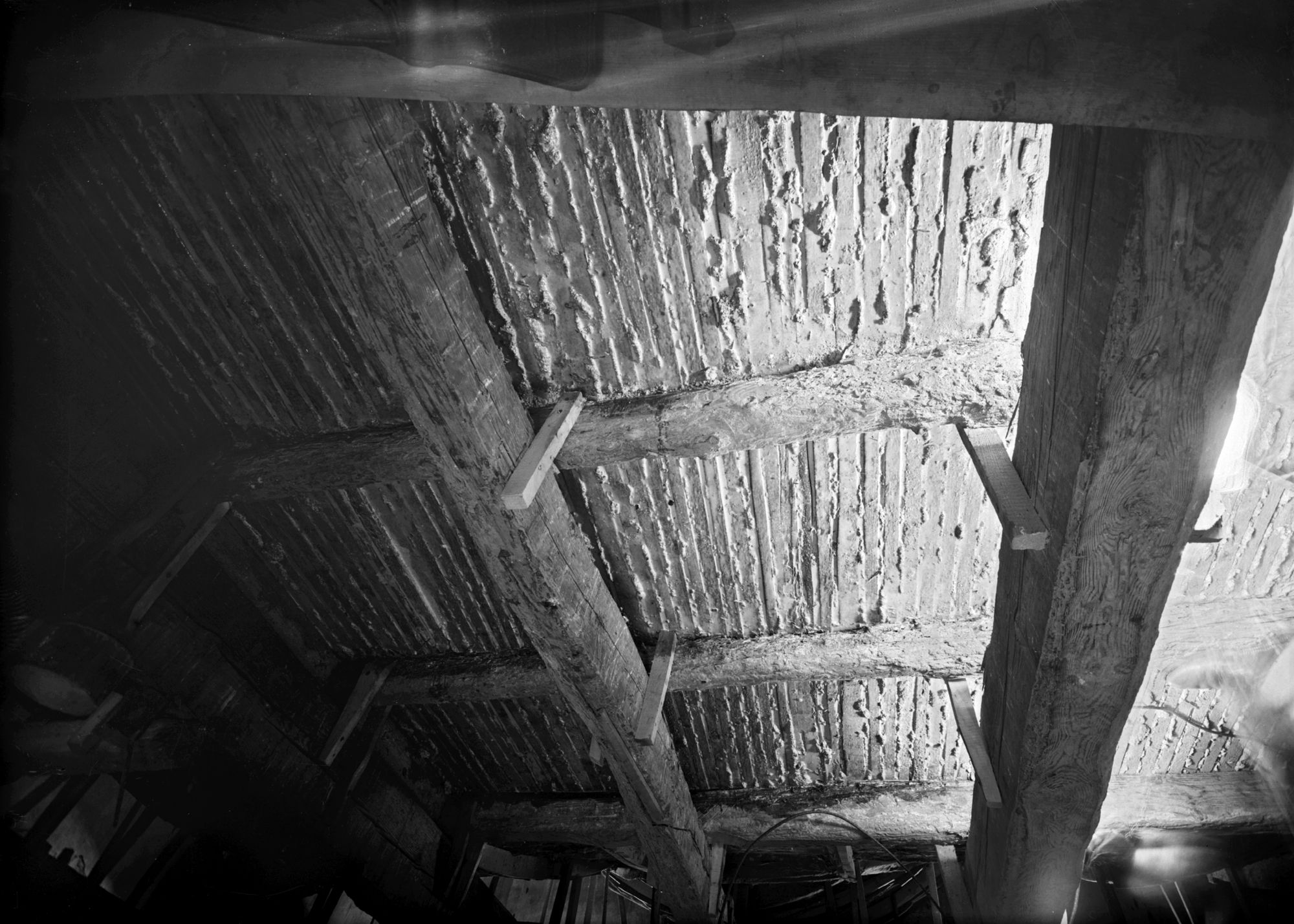 Chiesa parrochiale. Particolare del soffitto (negativo) di Gabinetto fotografico (XX)