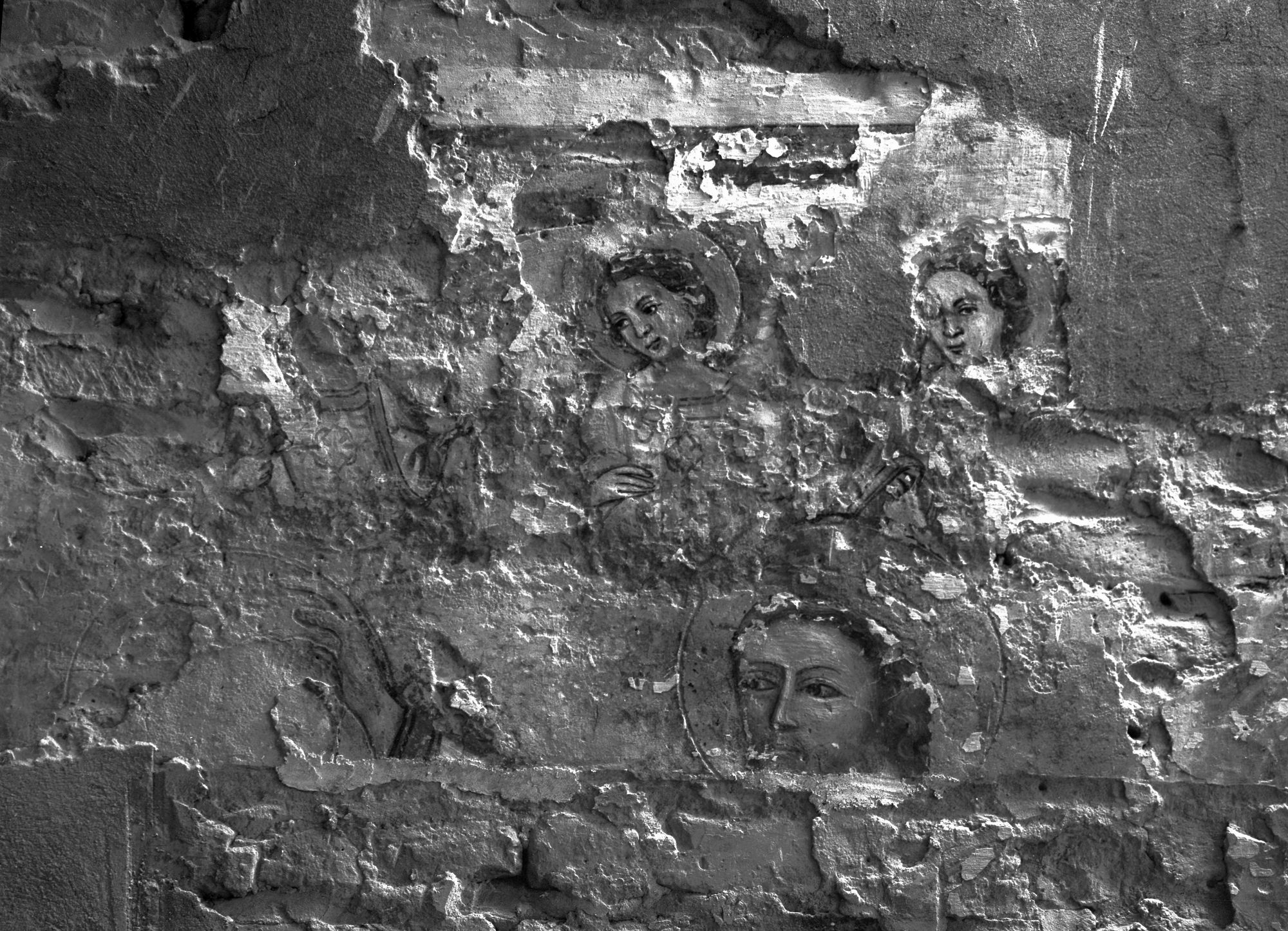 Chiesa San Nicolò. Incoronazione della Vergine (negativo) di Gabinetto fotografico (XX)