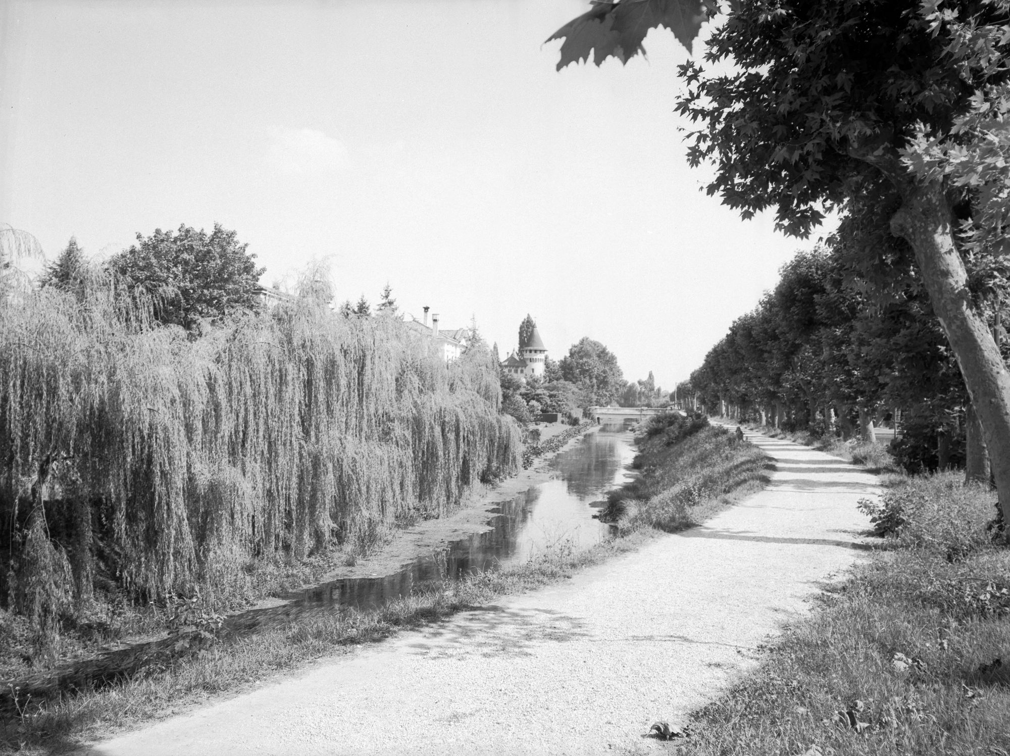Veduta paesaggistica (negativo) di Gabinetto fotografico (XX)
