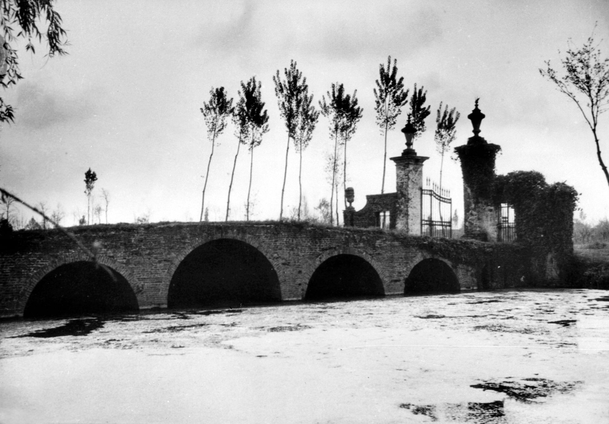 Parco di propr. Vianello. Ponticello (negativo) di Gabinetto fotografico (XX)