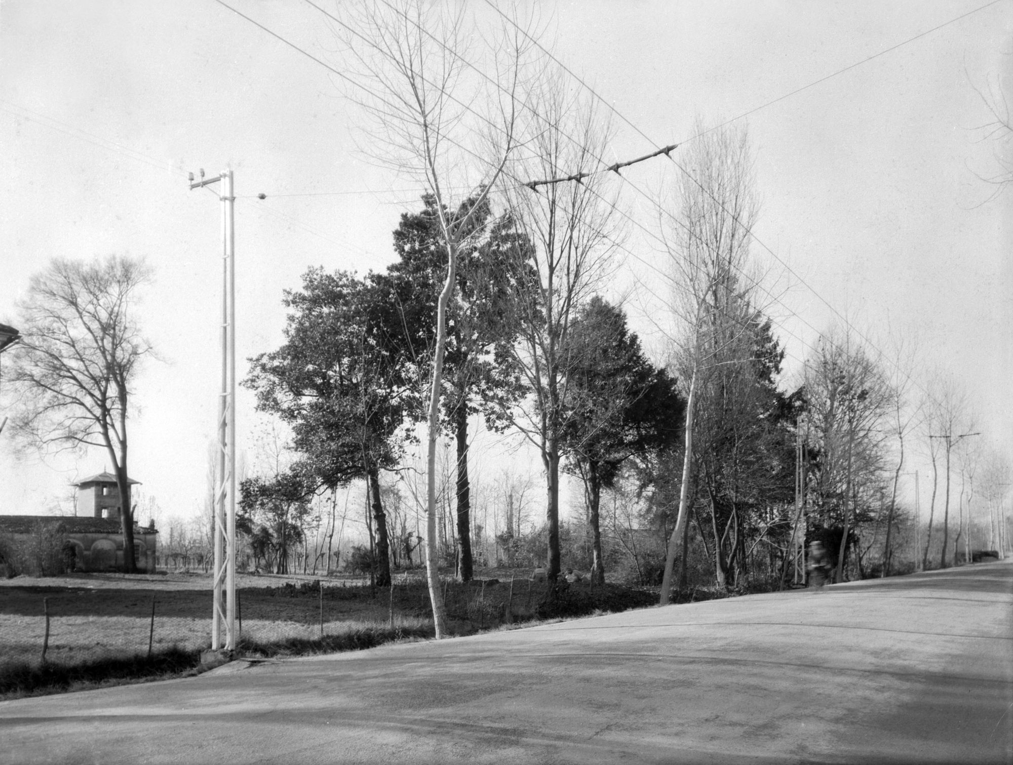 Villa ex Picchini?. Resti del parco (negativo) di Gabinetto fotografico (XX)