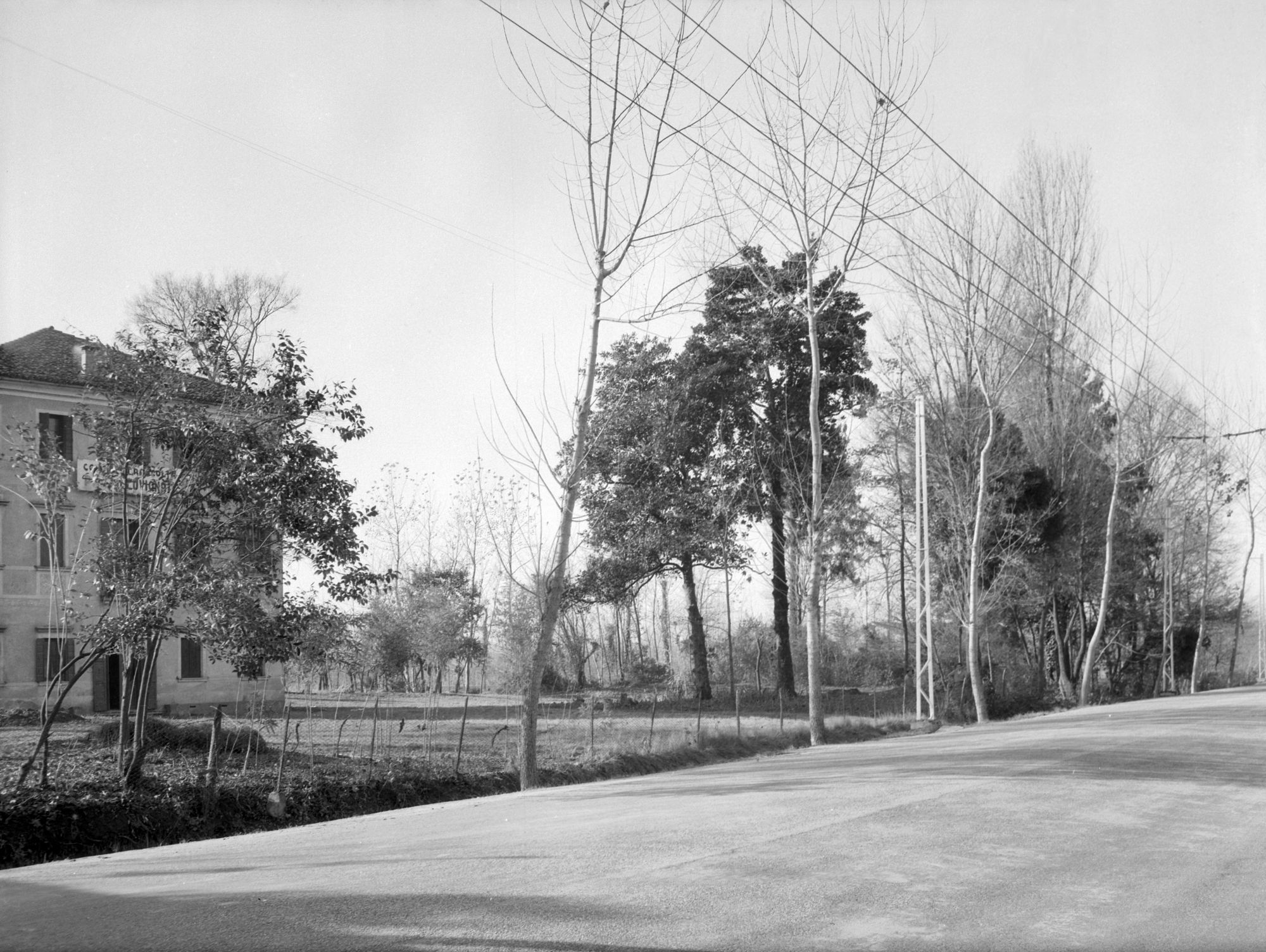 Villa ex Picchini?. Resti del parco (negativo) di Gabinetto fotografico (XX)