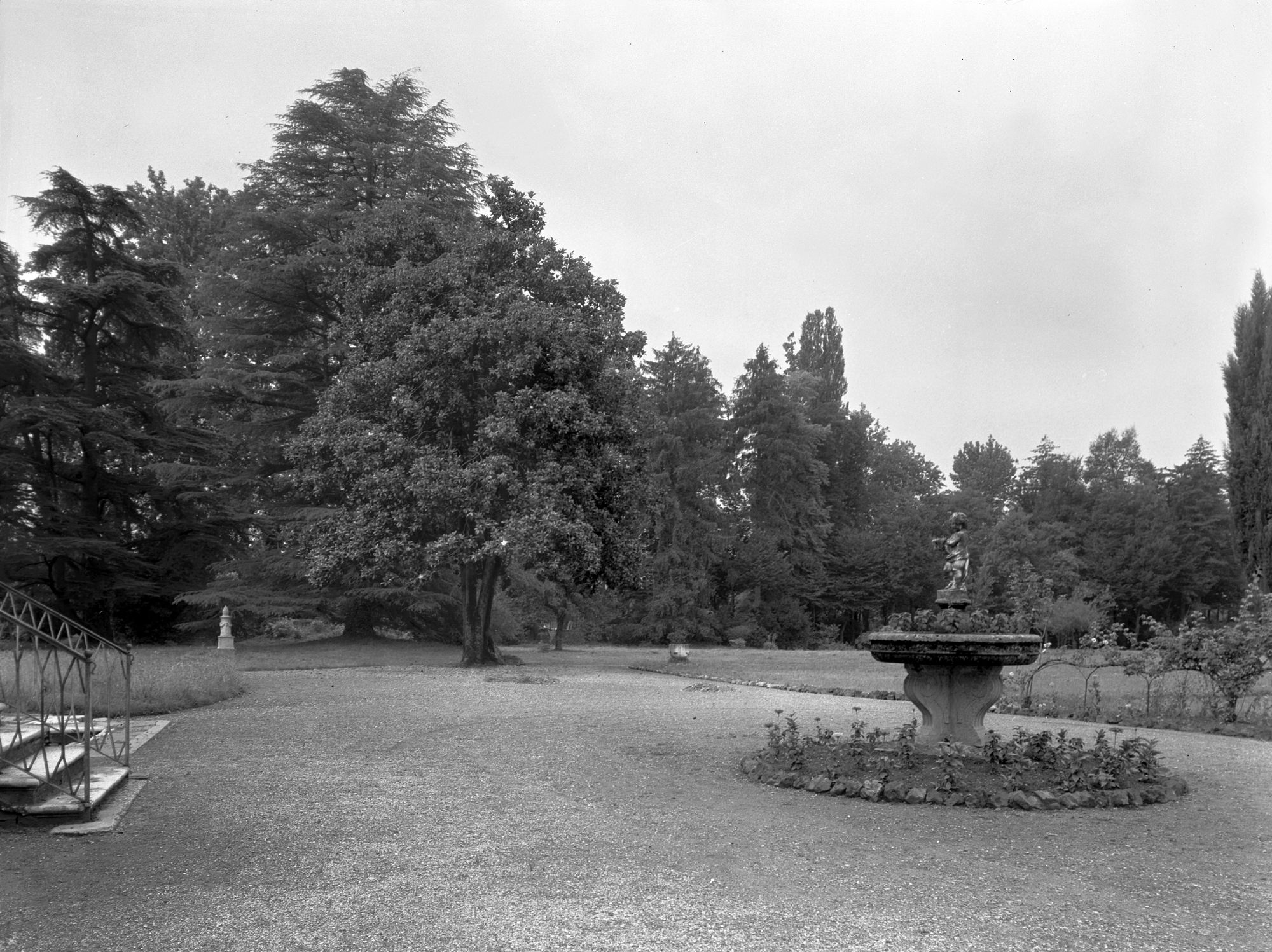 Villa Monico. Aspetti del parco (negativo) di Gabinetto fotografico (XX)