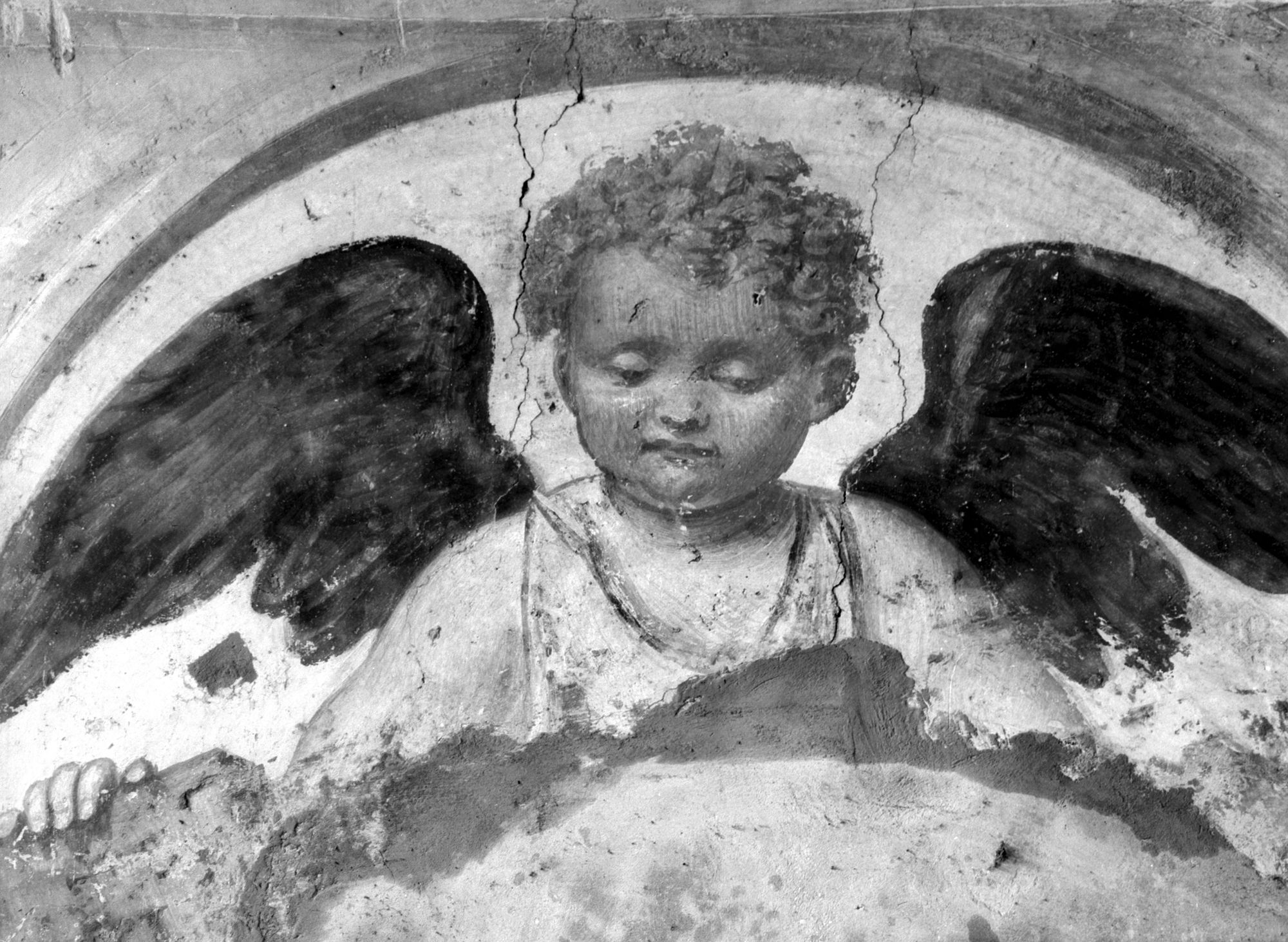 Chiesa San Simon. Testa d' Angelo (negativo) di Gabinetto fotografico (XX)