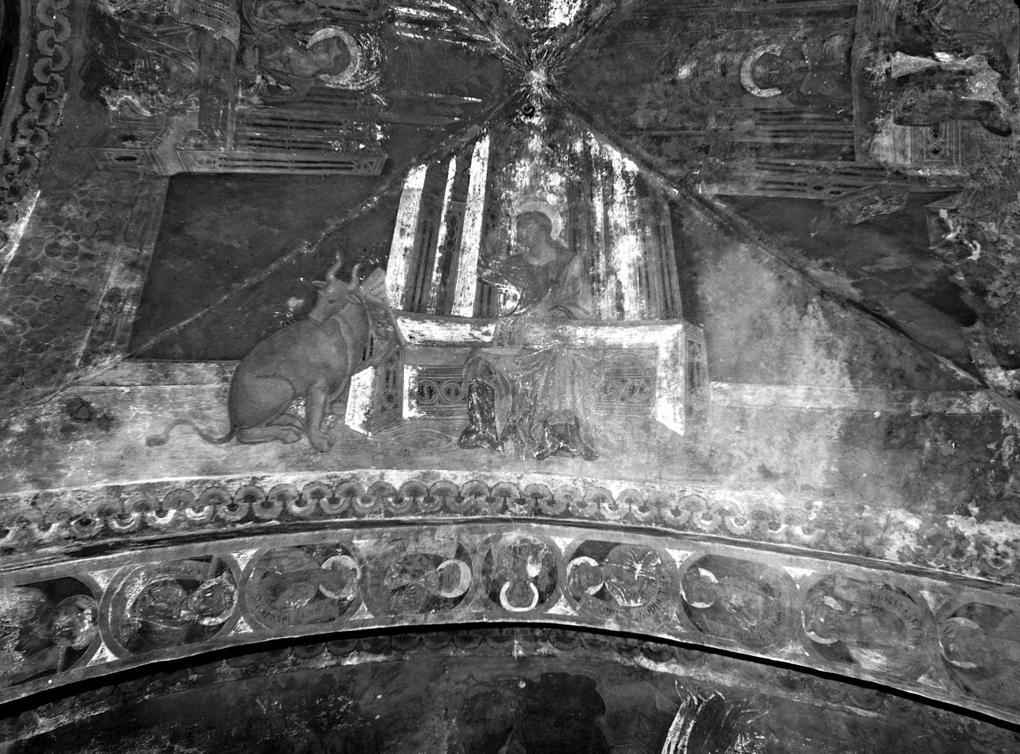 Ospitale Civile. Chiesetta. Particolare soffitto a volta (negativo) di Gabinetto fotografico (XX)