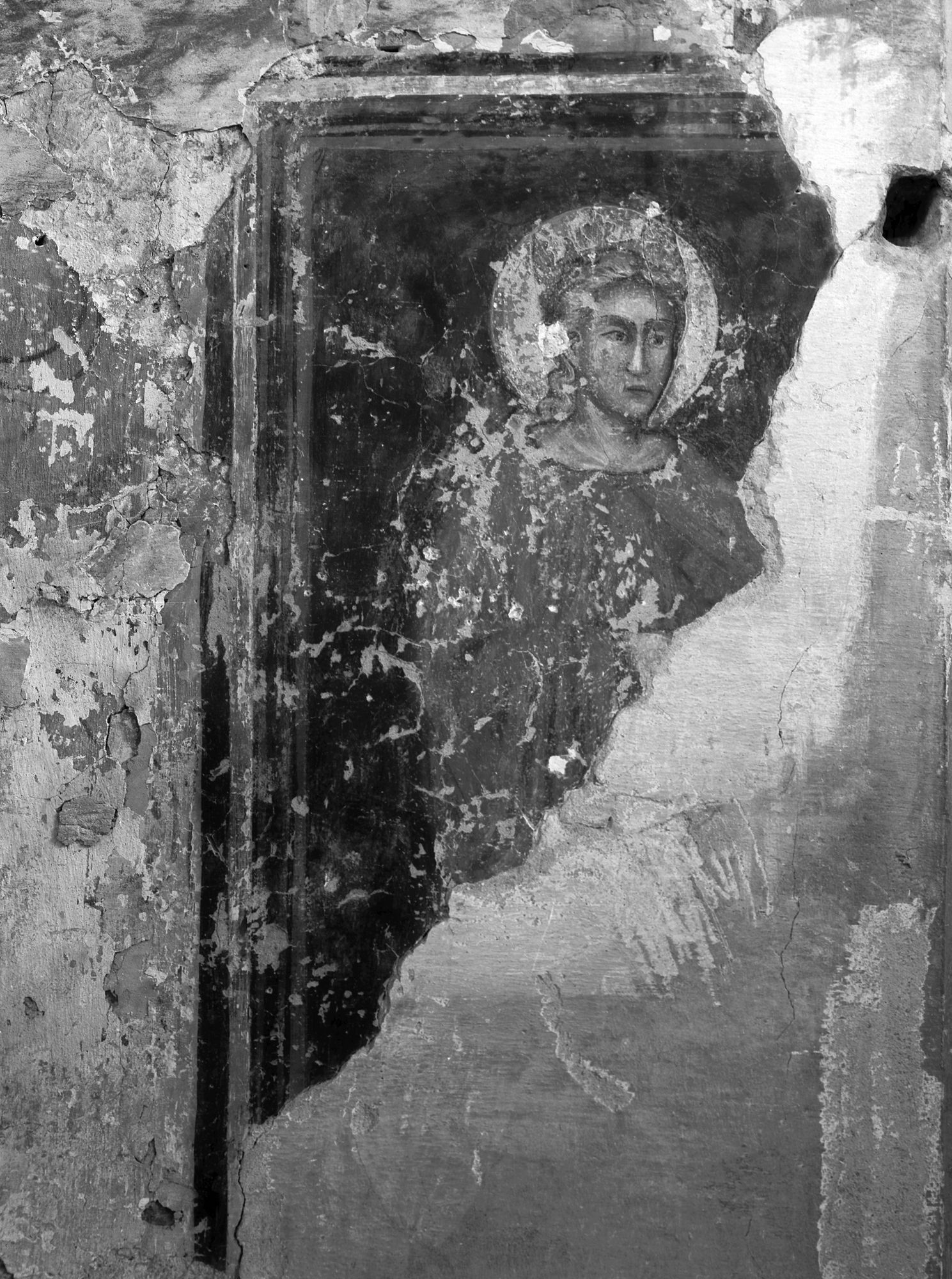 Chiesa di San Nicolò. Madonna. Resti di affresco (negativo) di Gabinetto fotografico (XX)