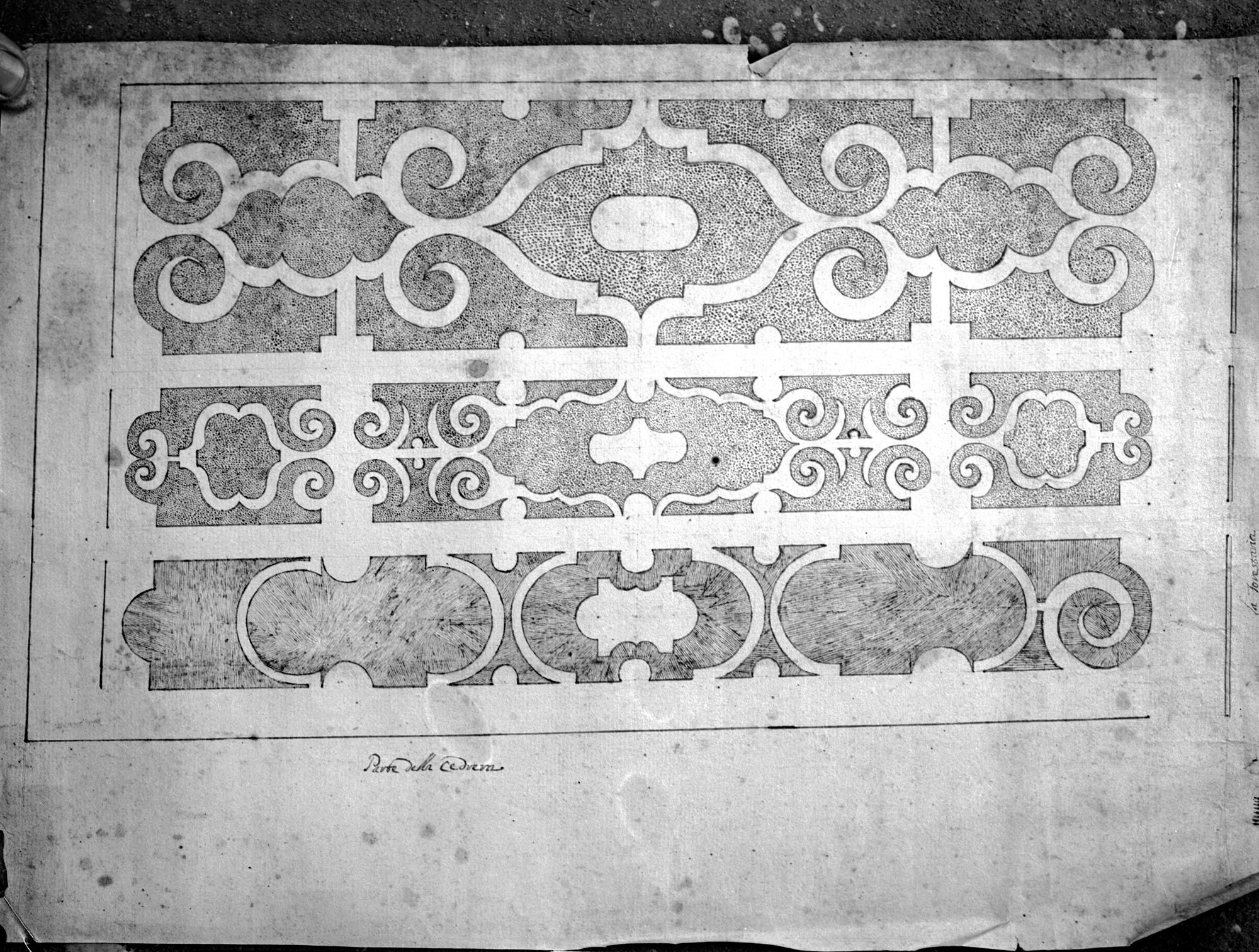 Cà della Nave. Pianta della cedrera ? (negativo) di Gabinetto fotografico (XX)