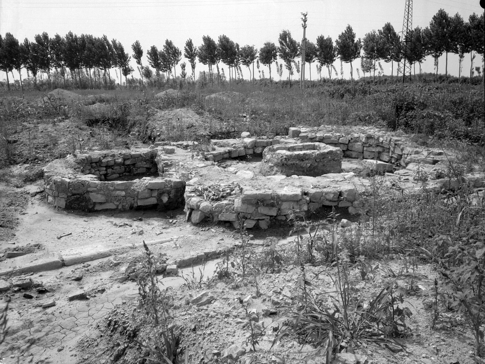 Stretti di Cittanova. Edificio centrale. Veduta dell'abside. Scavi Aprile 1954 (negativo) di Gabinetto fotografico (XX)