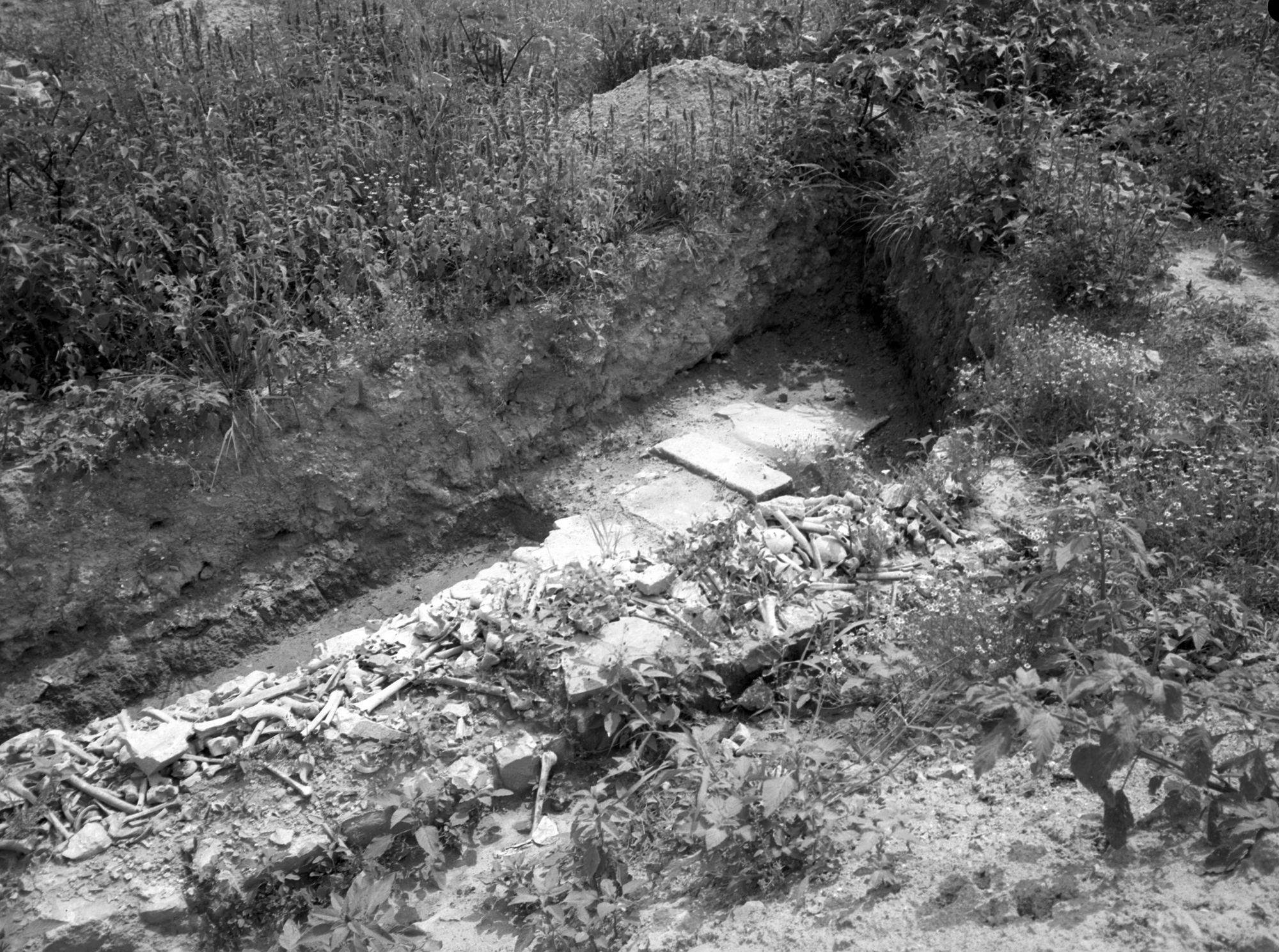 Stretti di Cittanova. Edificio centrale. Tratti di muro sottostante im parte all' edificio centrale (negativo) di Gabinetto fotografico (XX)