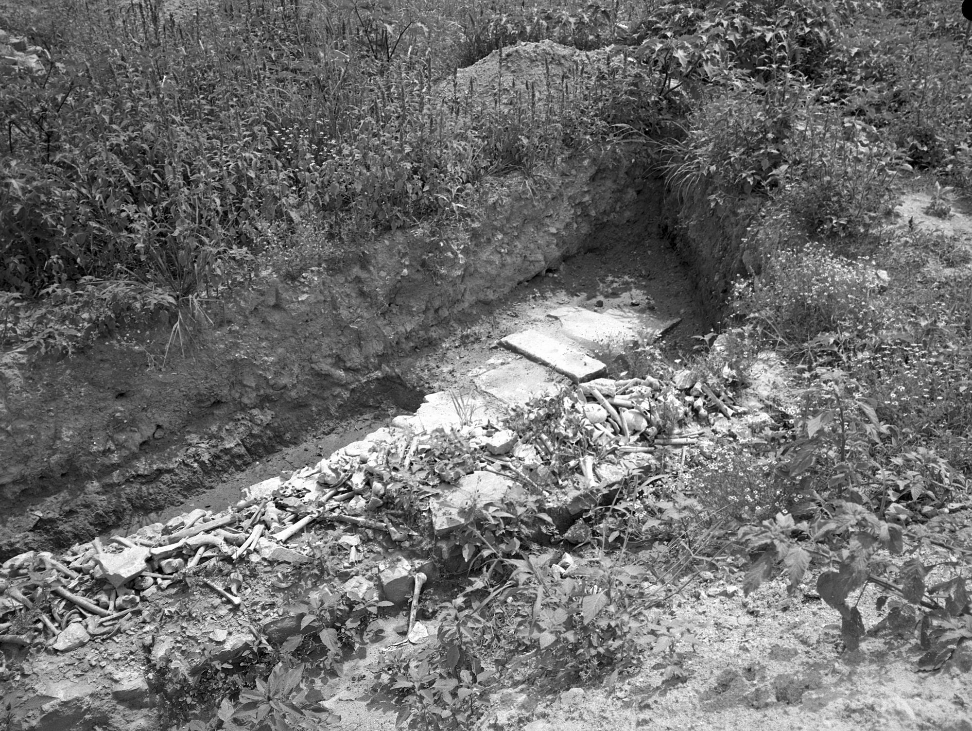 Stretti di Cittanova. Edificio centrale. Tratti di muro sottostante im parte all' edificio centrale (negativo) di Gabinetto fotografico (XX)