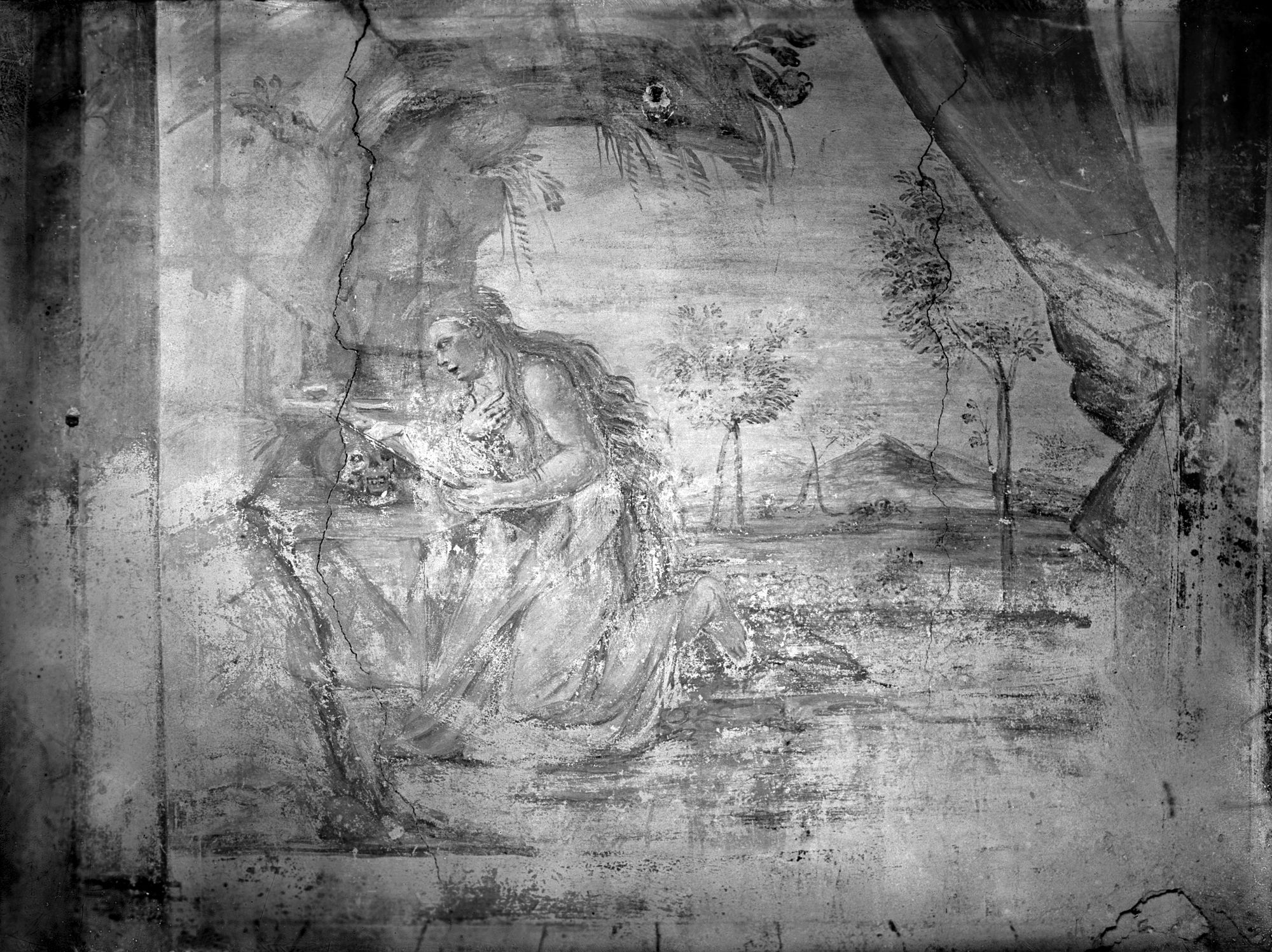 Chiesa San Teonisto. La Maddalena, affresco (negativo) di Gabinetto fotografico (XX)