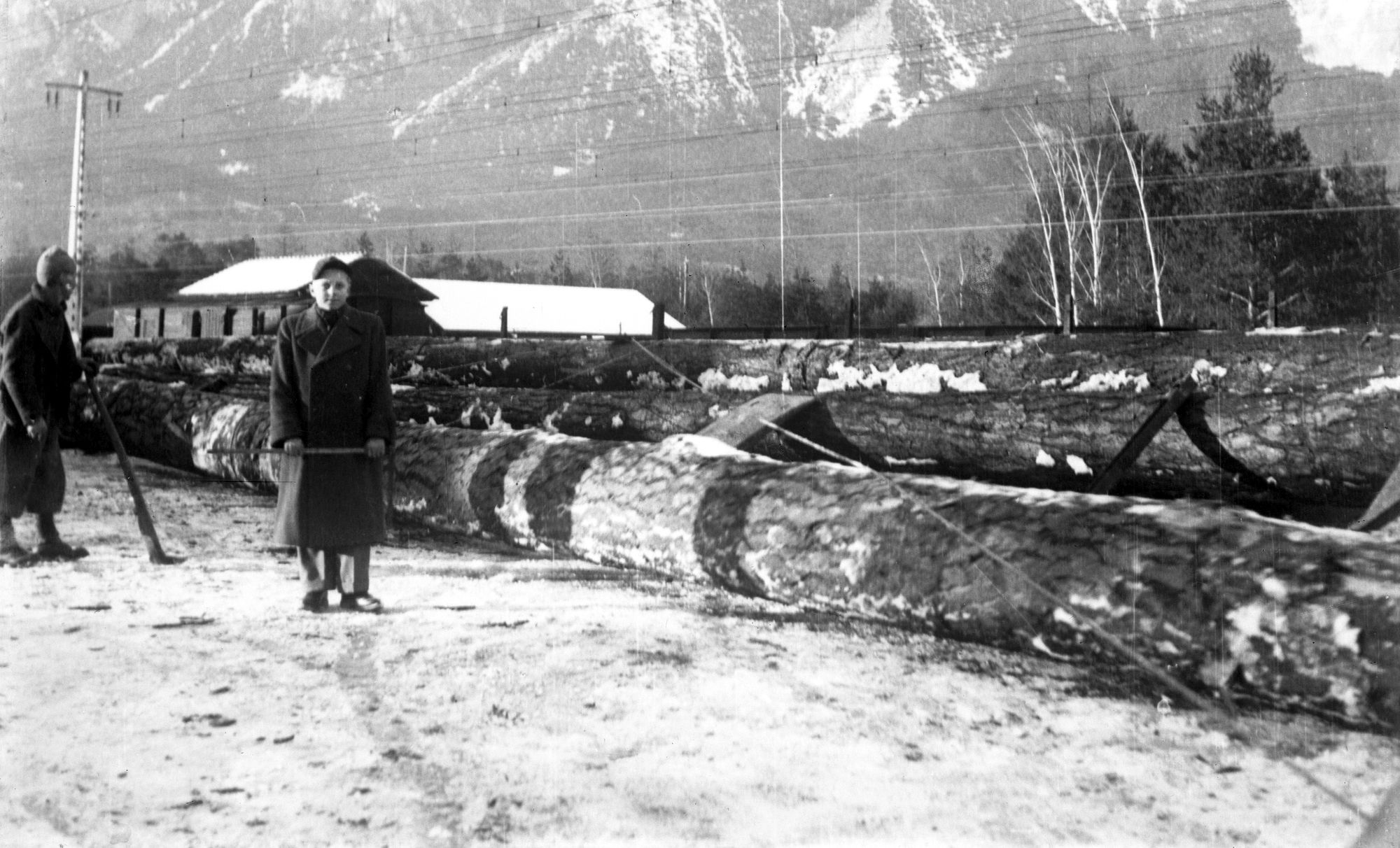 Palazzo dei Trecento. Trasposto delle piante per le travature del coperto (negativo) di Gabinetto fotografico (XX)