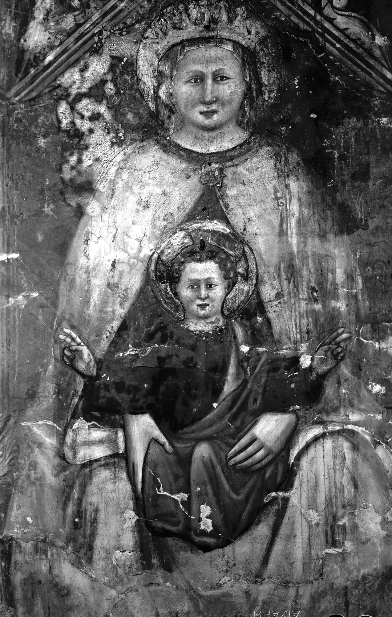 Santa Maria Maggiore. Tomaso da Modena. La testa del bambino (negativo) di Gabinetto fotografico (XX)