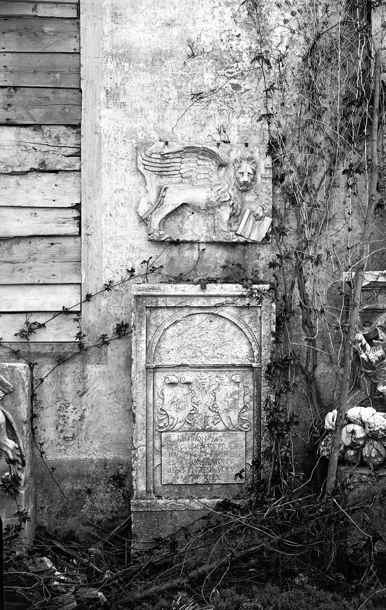 Museo Civico. Fontana e leone veneto (negativo) di Gabinetto fotografico (XX)