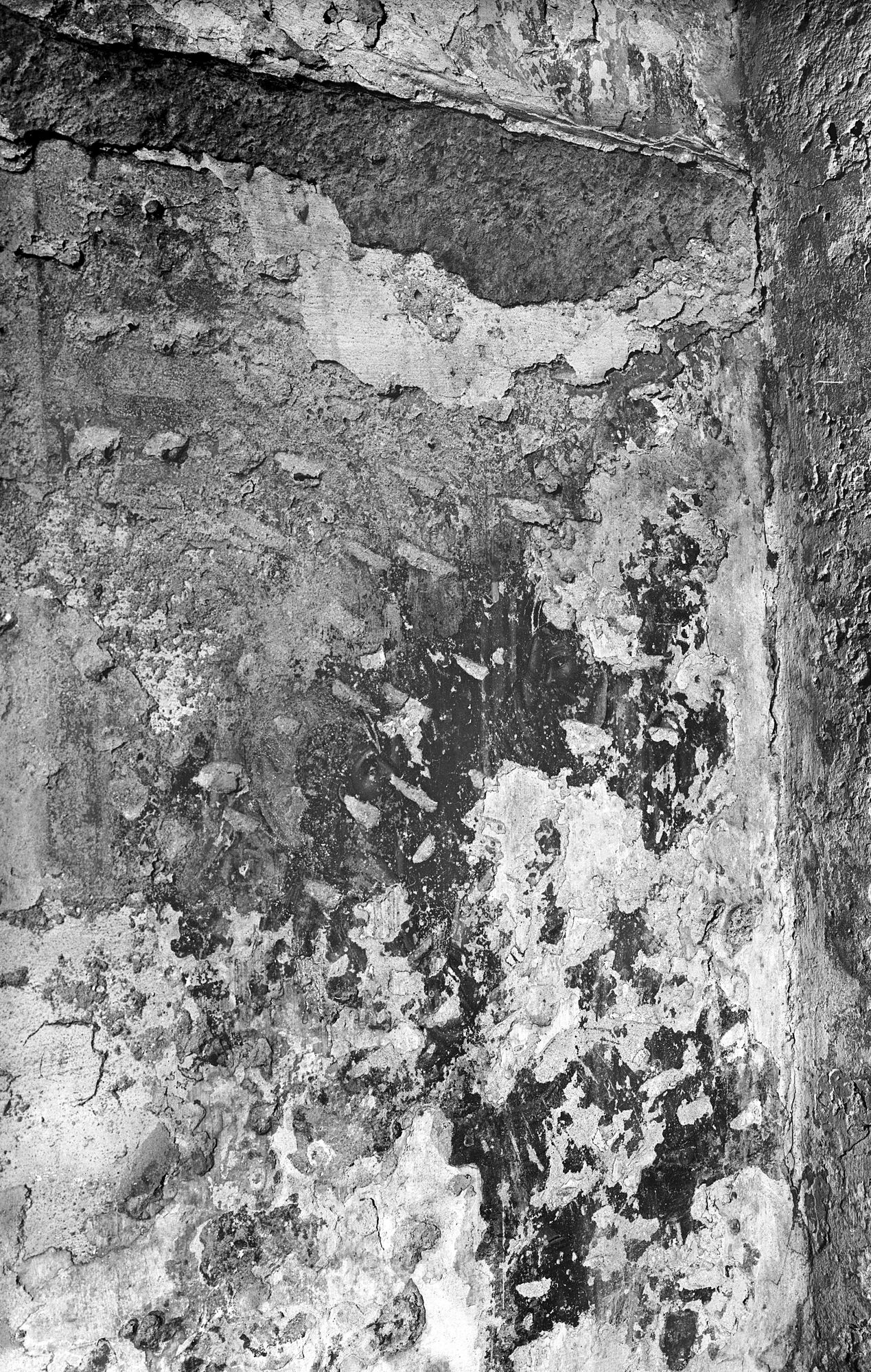 Cattedrale. Cristo e San Pietro, resti di affresco (negativo) di Gabinetto fotografico (XX)