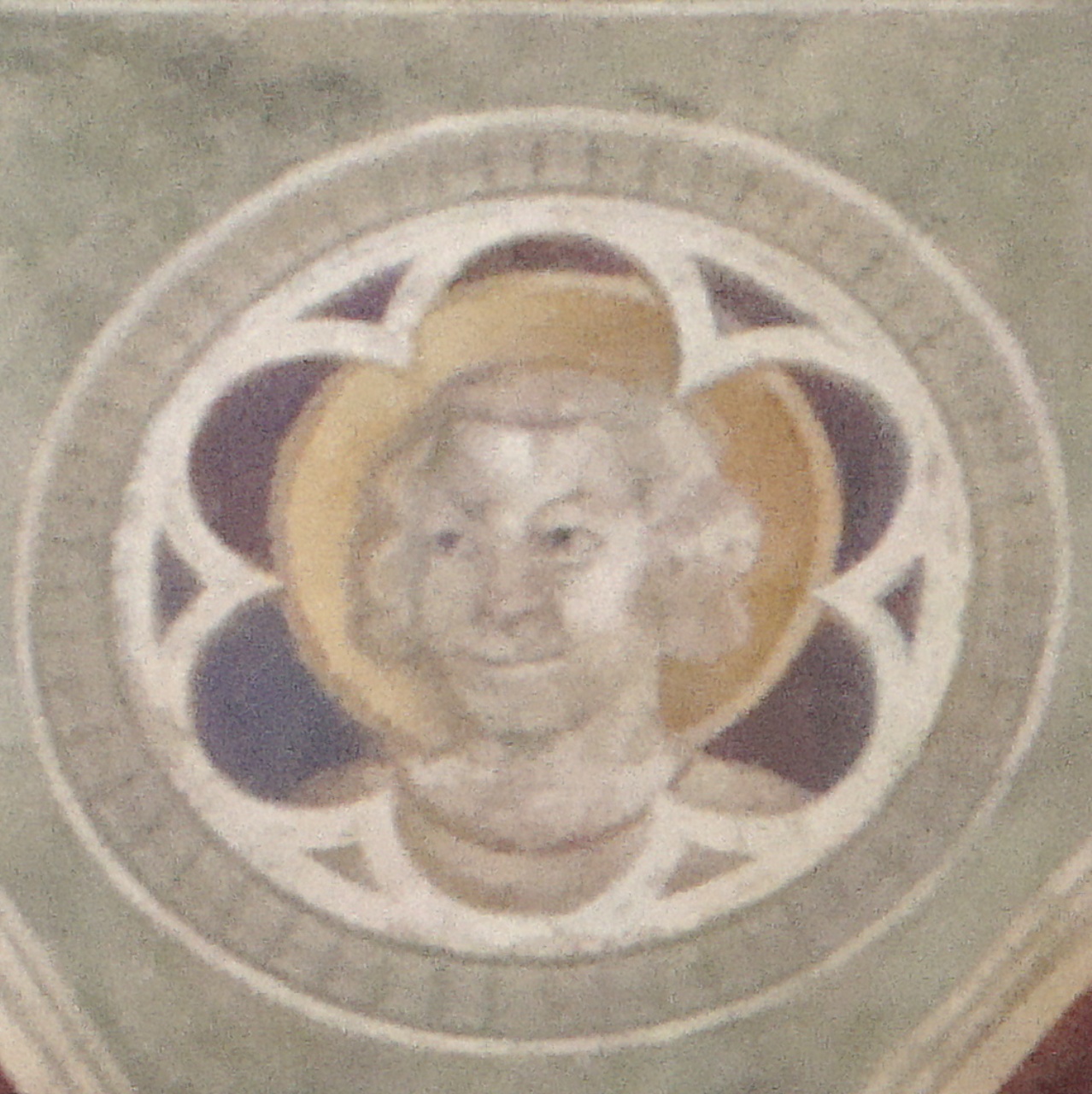 testa di santo (dipinto murale) di Maestro della Cappella Velluti (attribuito) (prima metà sec. XIV)