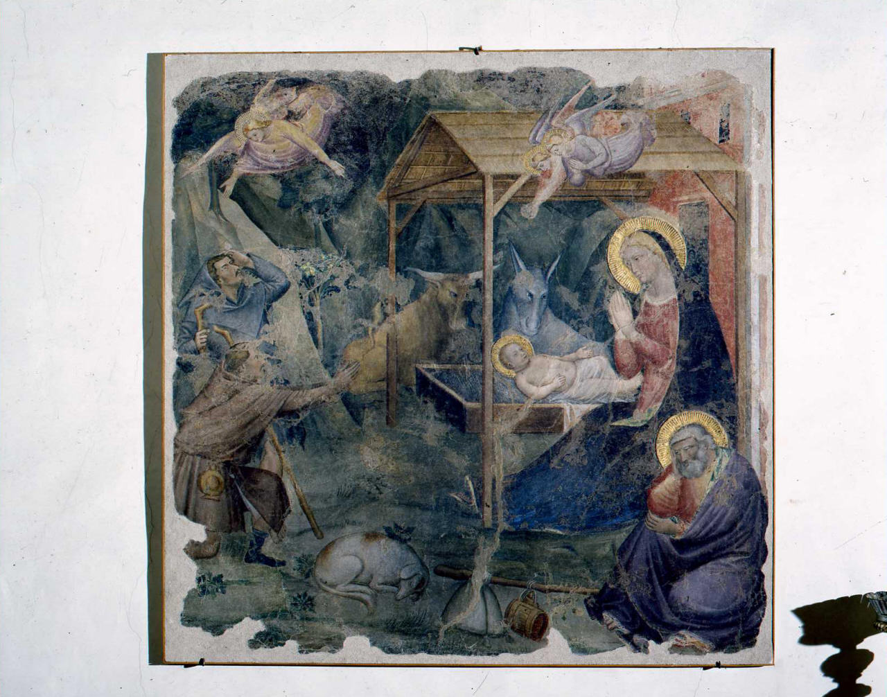 natività di Gesù (dipinto) di Gerini Niccolò di Pietro (sec. XV)