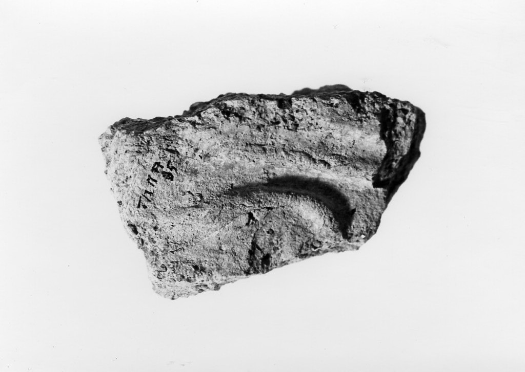 lastra di rivestimento (secc. IV a.C.-I a.C)