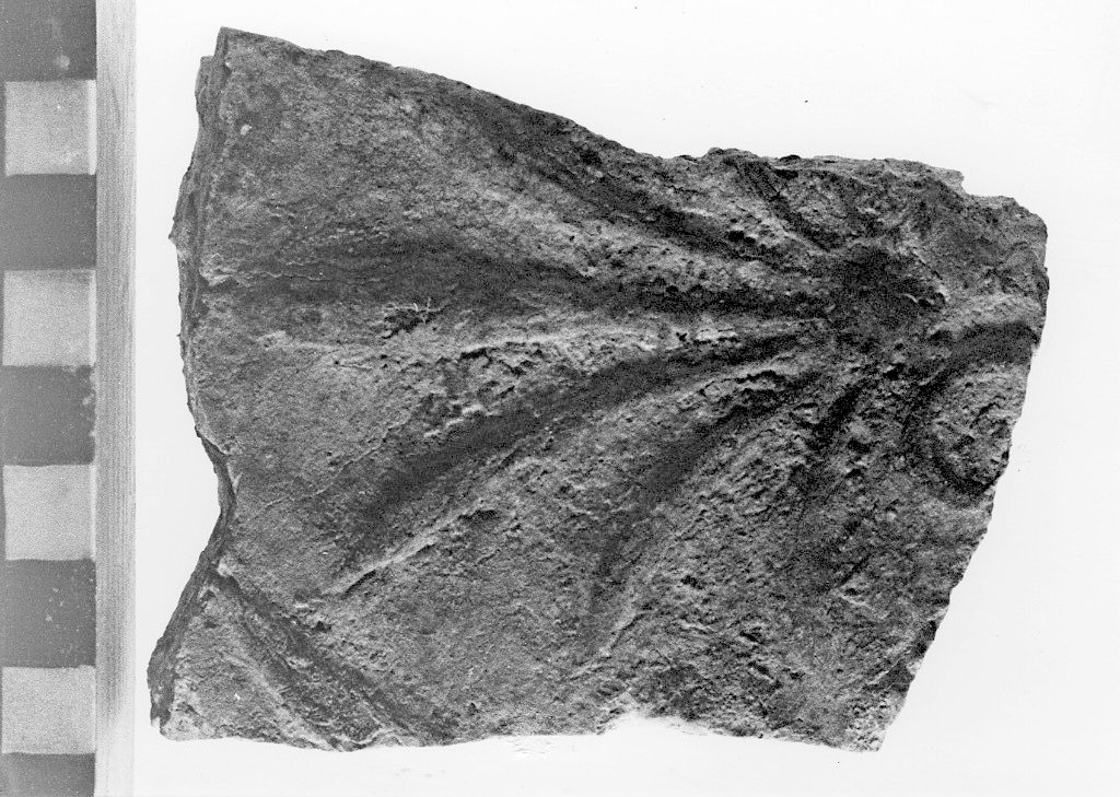 lastra di rivestimento (secc. IV a.C.-II a.C)