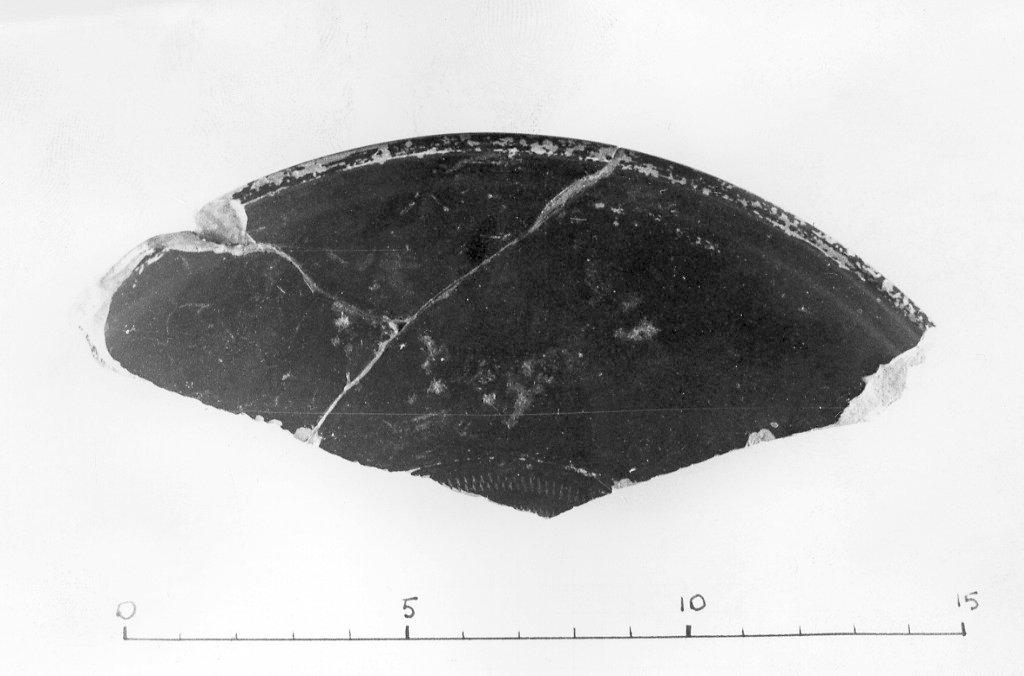 patera (secc. III a.C.-II a.C)