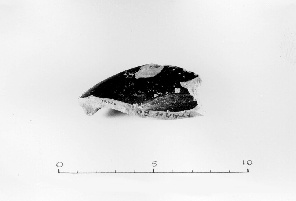 patera (sec. I a.C)