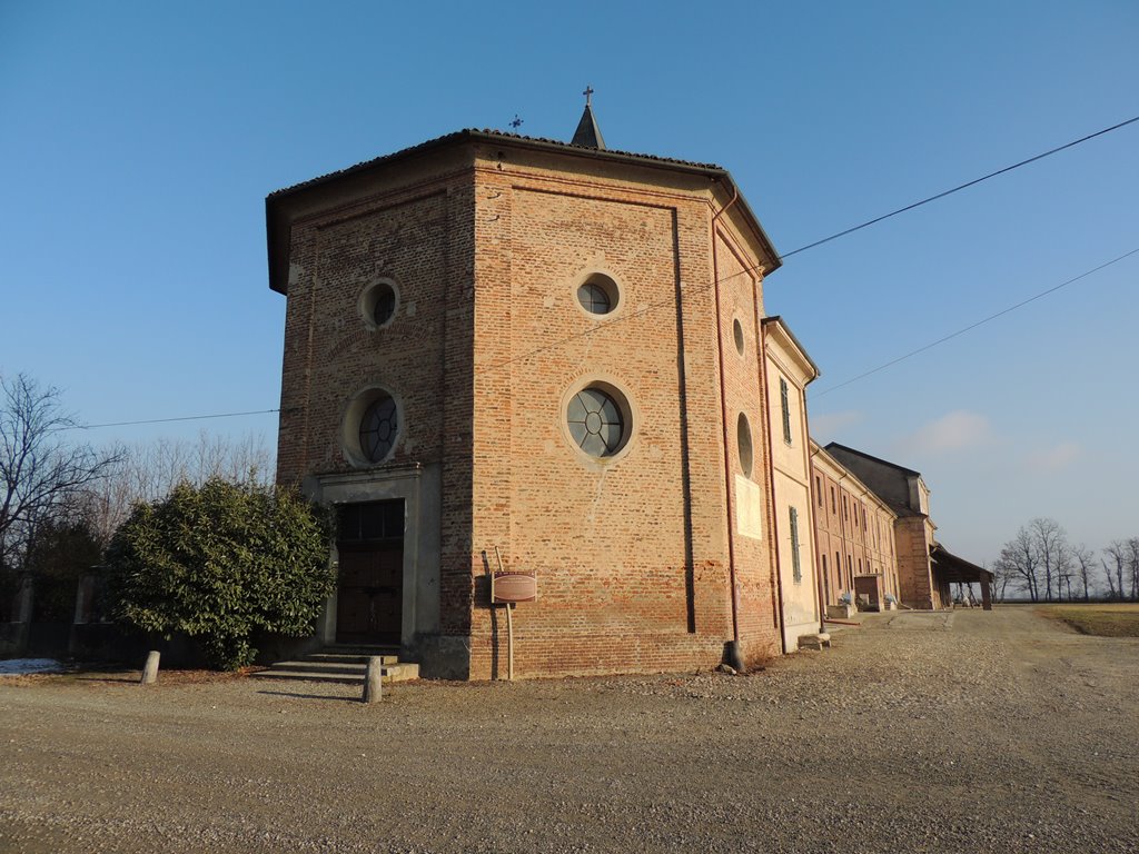 Chiesa di S. Pietro (chiesa) - Trino (VC)  (XVIII; XVIII)