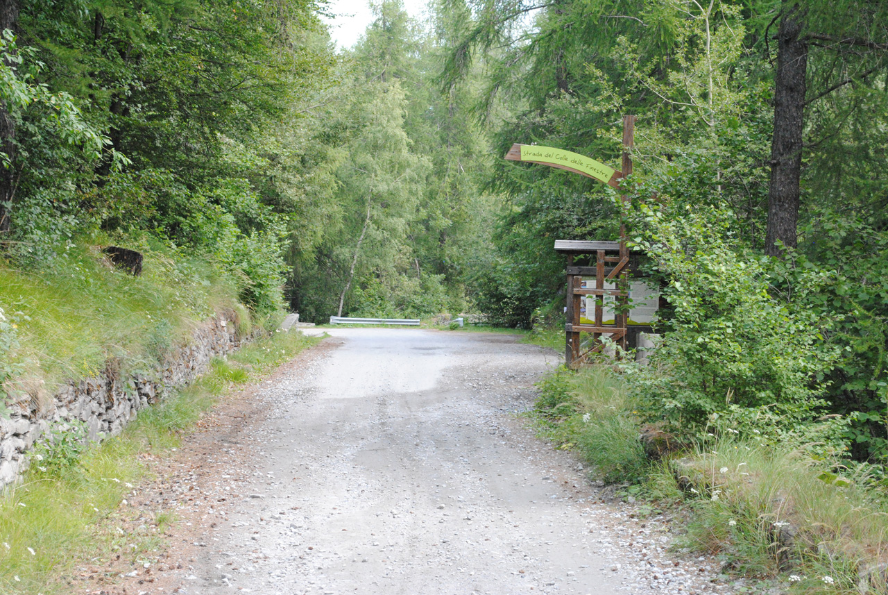 Ex strada militare Meana di Susa - Fenestrelle (strada, carrozzabile) - Meana di Susa (TO) 